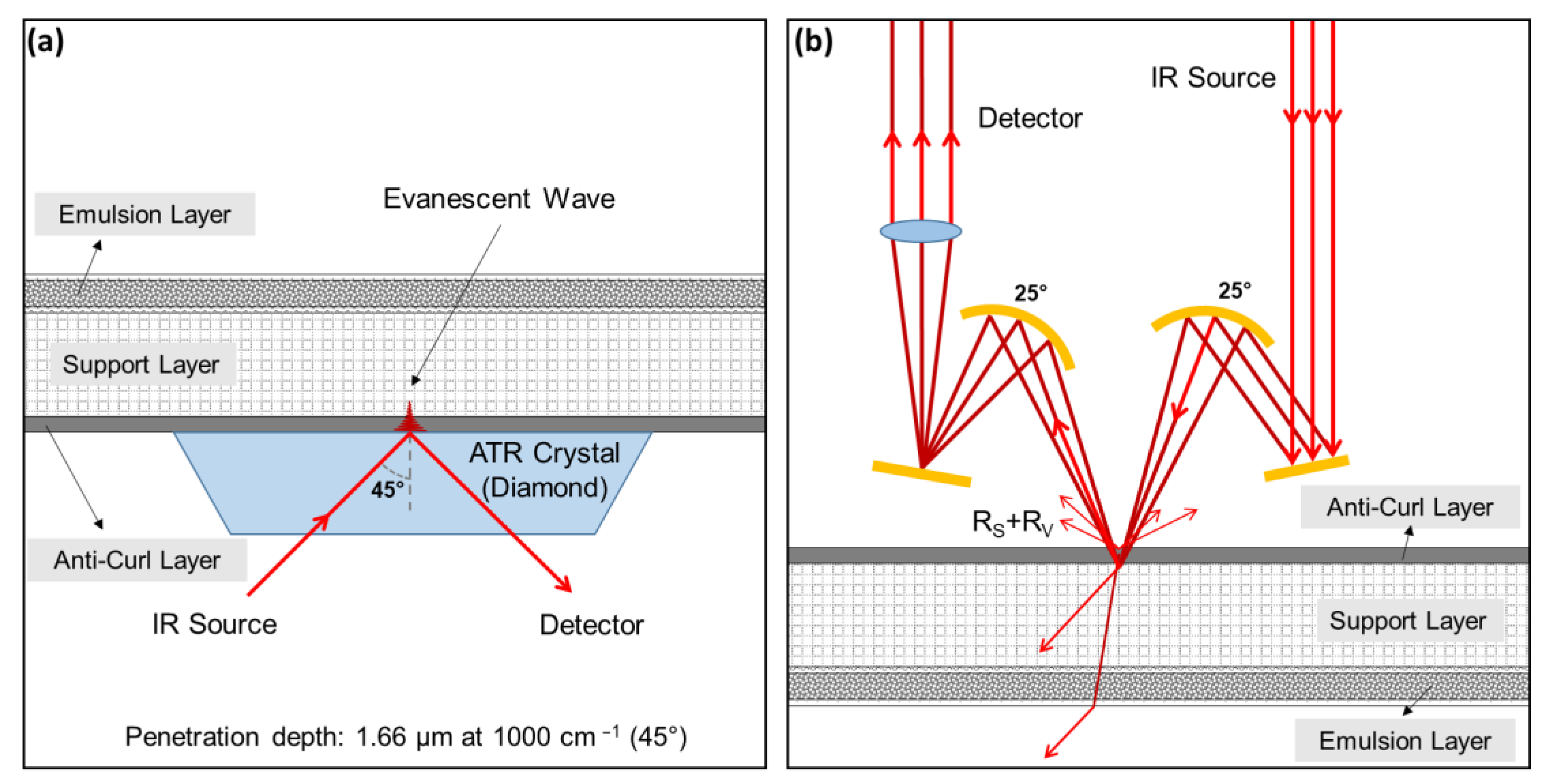 Polymers 14 00808 g001 550
