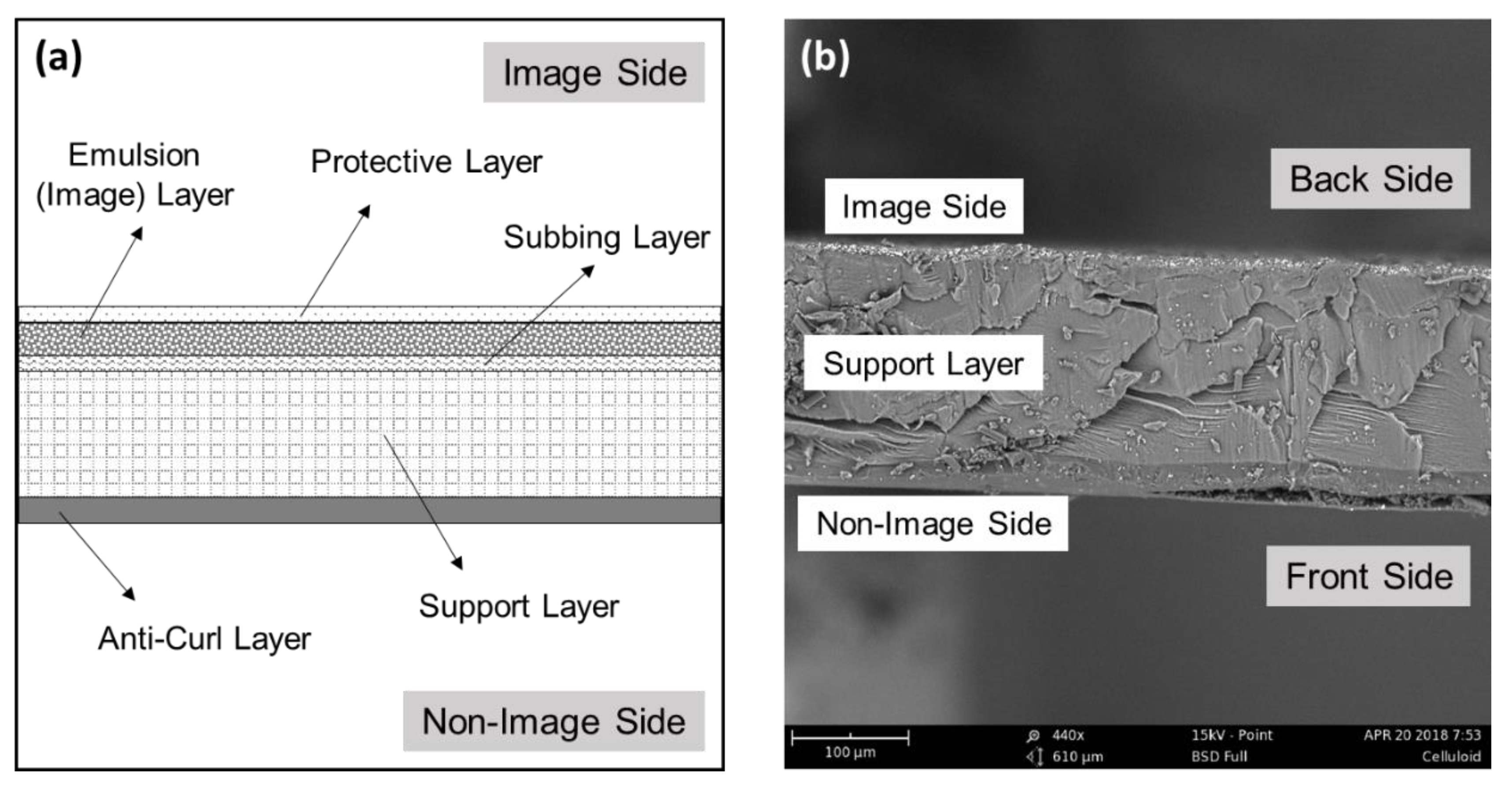 Polymers 14 00808 g003 550