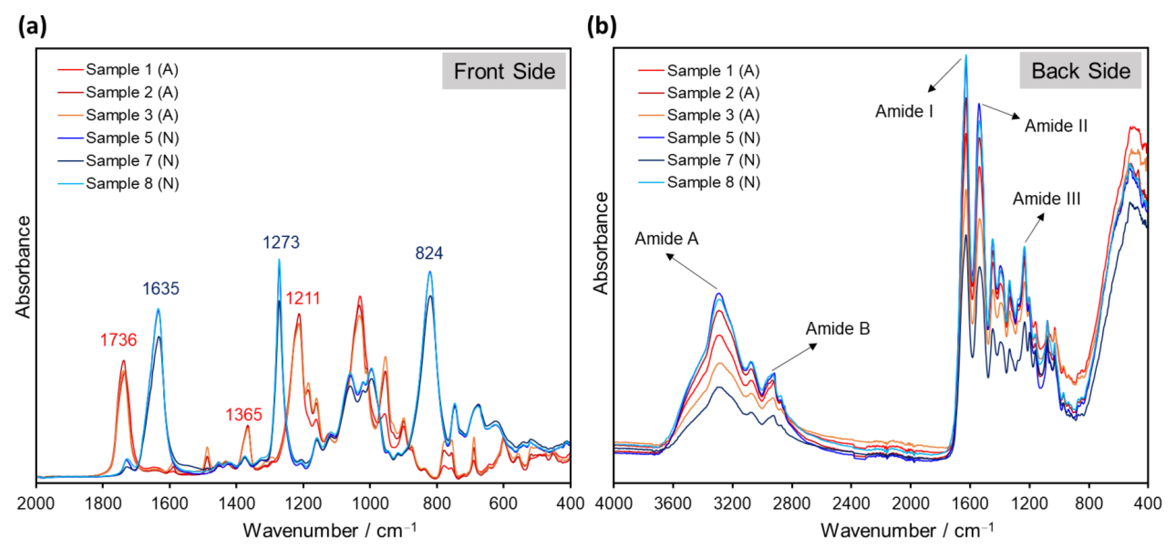 Polymers 14 00808 g004 550