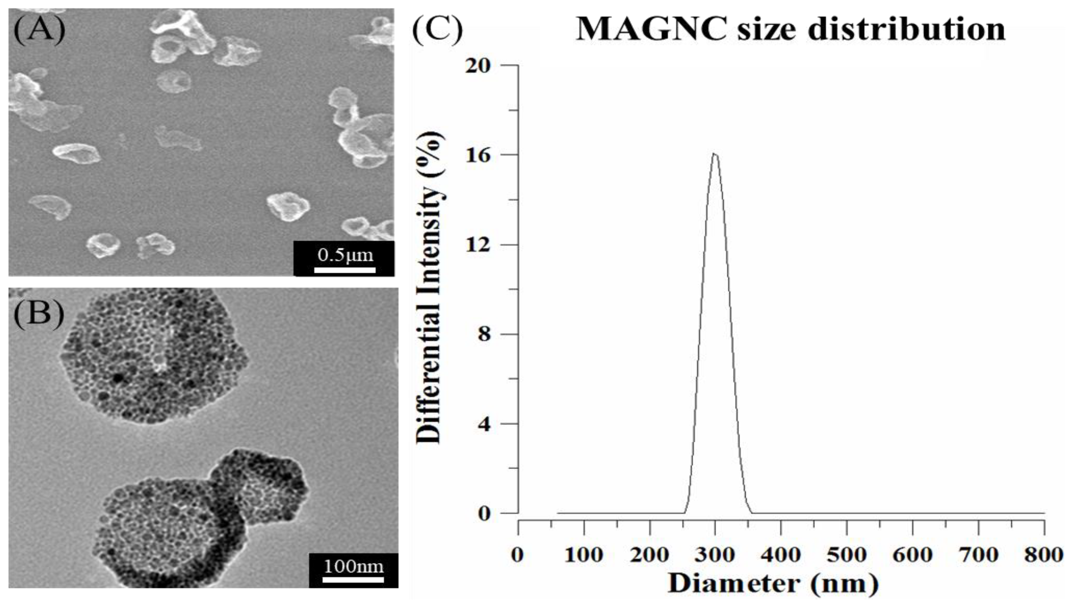 Polymers 14 00809 g001 550