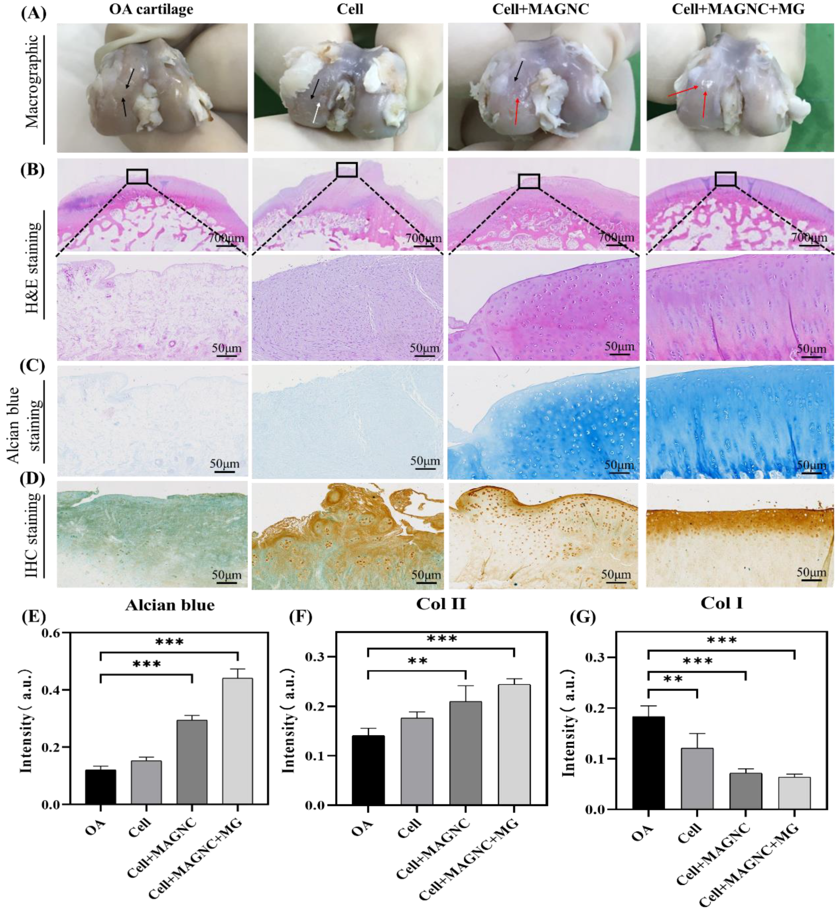 Polymers 14 00809 g007 550