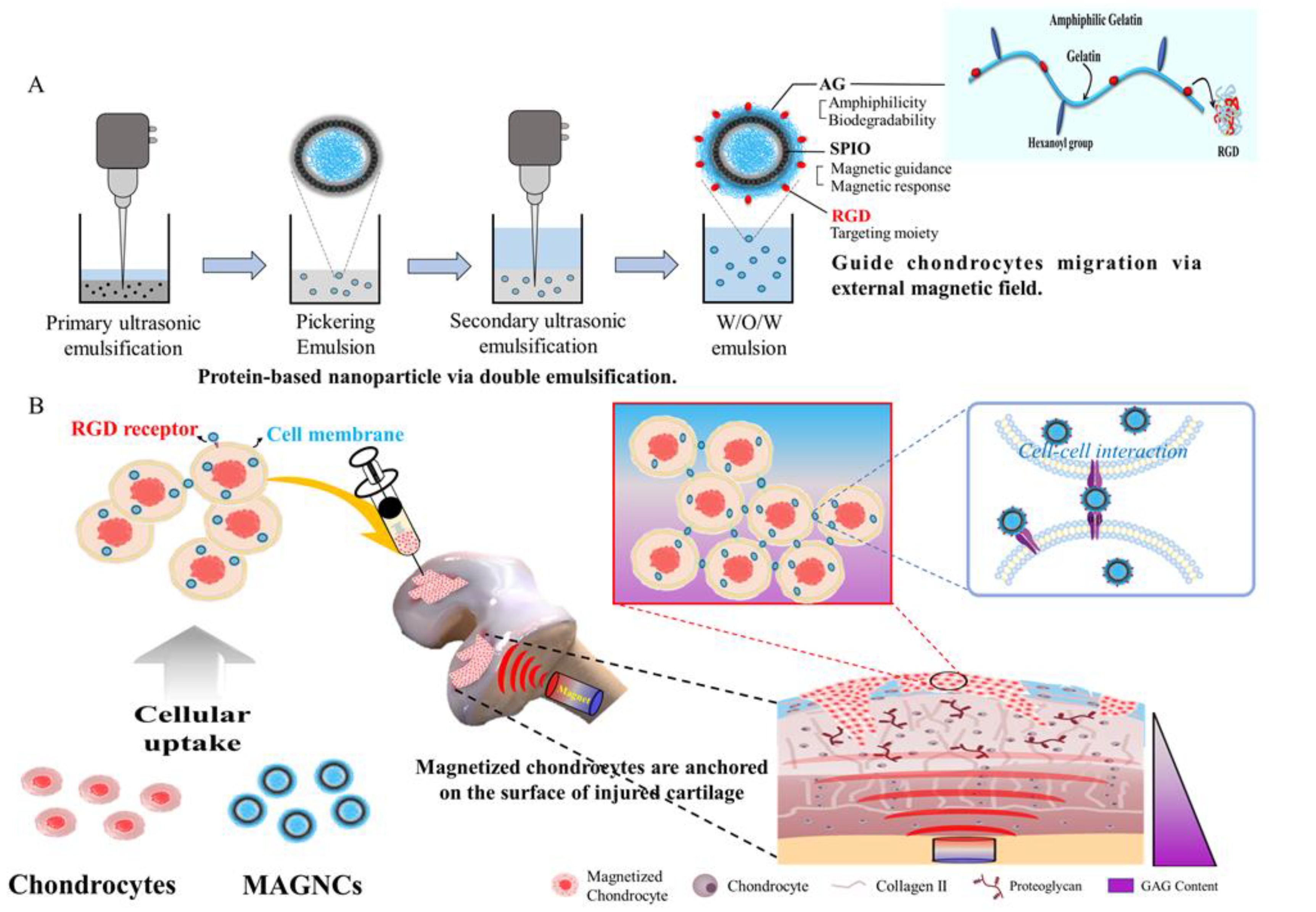 Polymers 14 00809 sch001 550