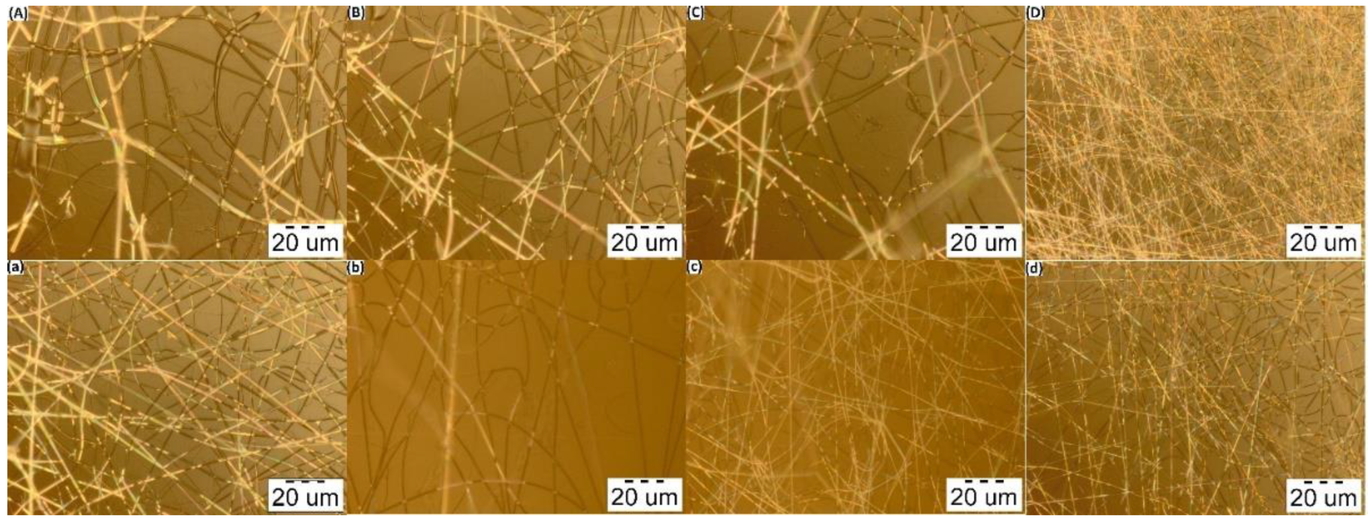 Polymers 14 00811 g005 550