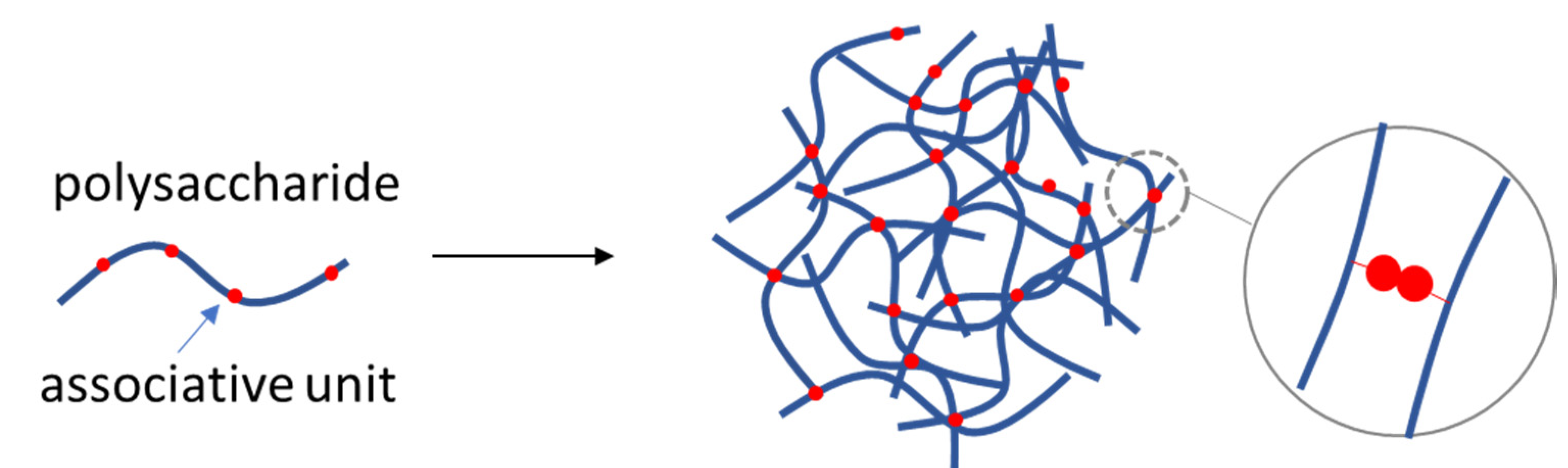 Polymers 14 00813 g007