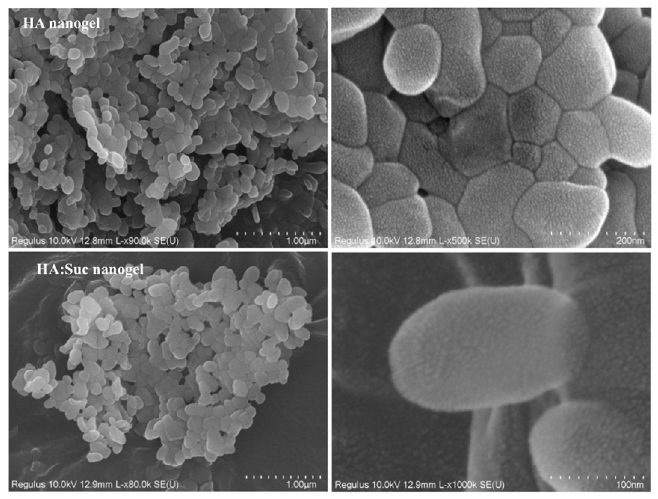Polymers 14 00813 g013