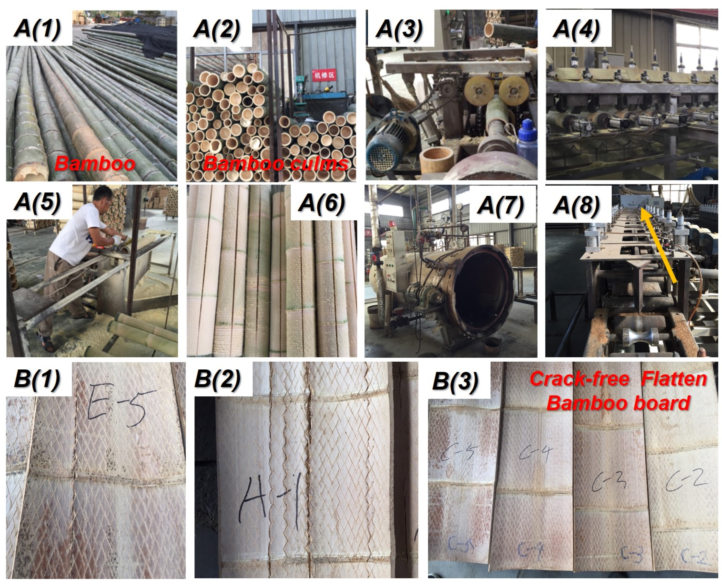 Polymers 14 00816 g002