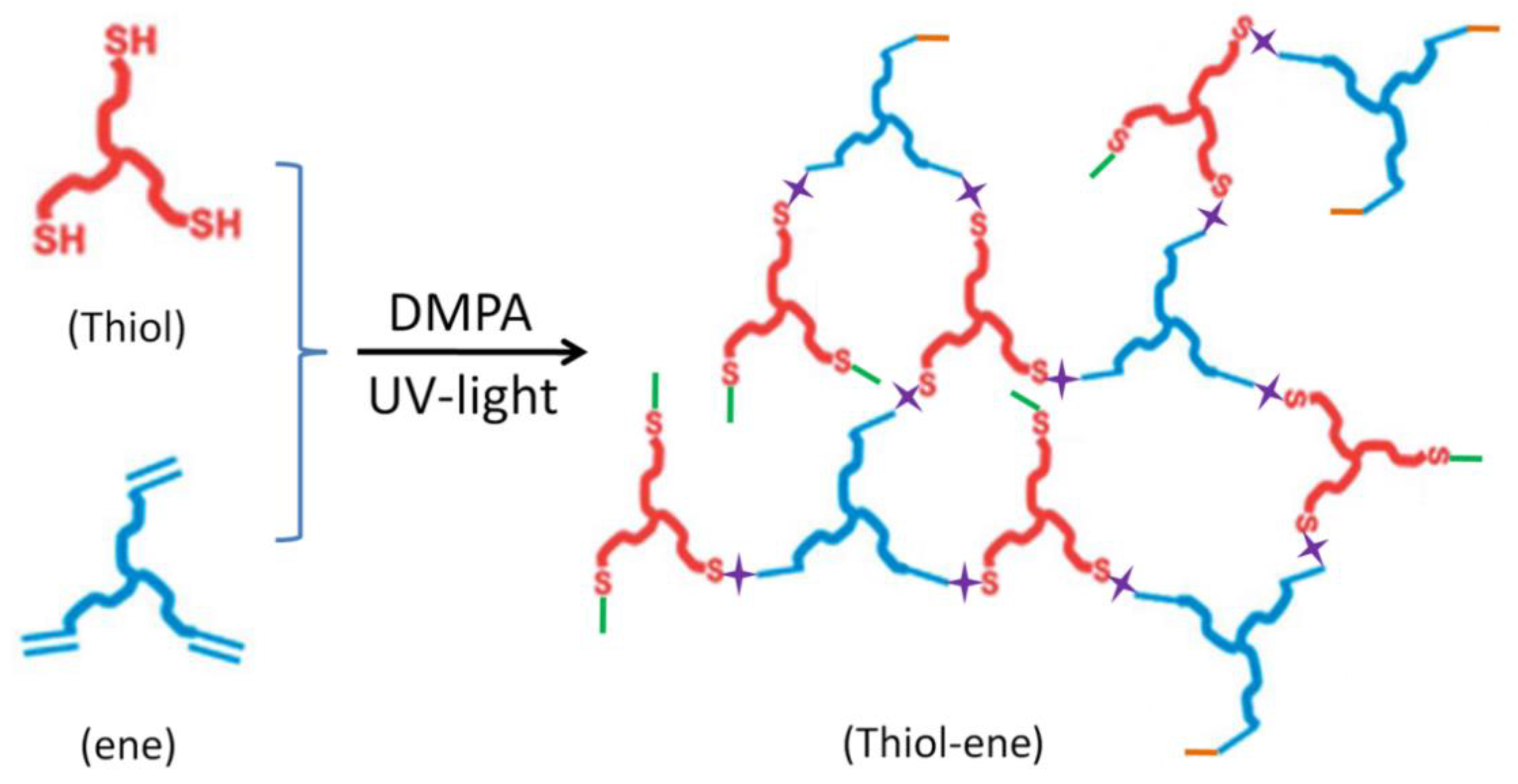 Polymers 14 00820 g002