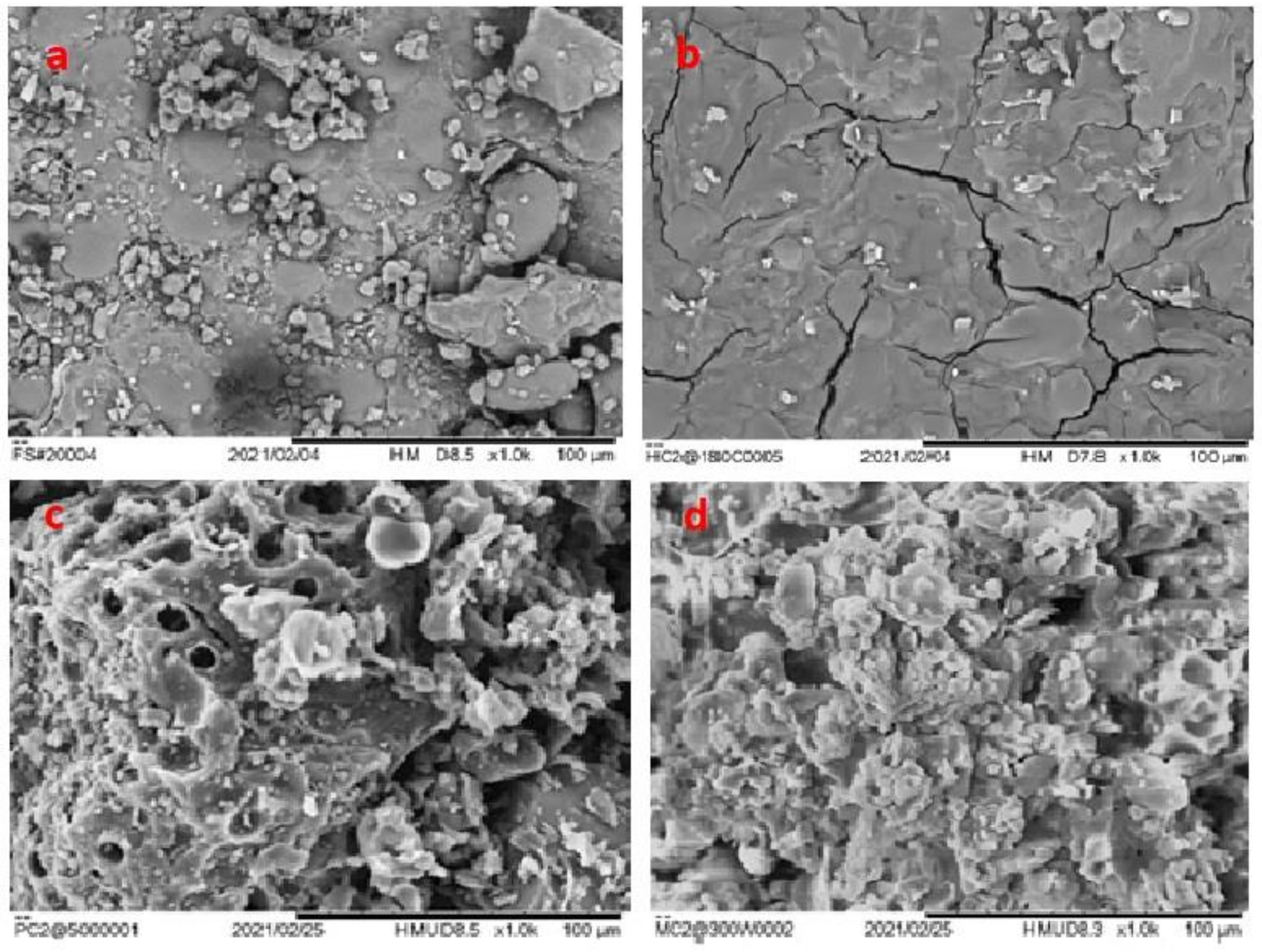 Polymers 14 00821 g003
