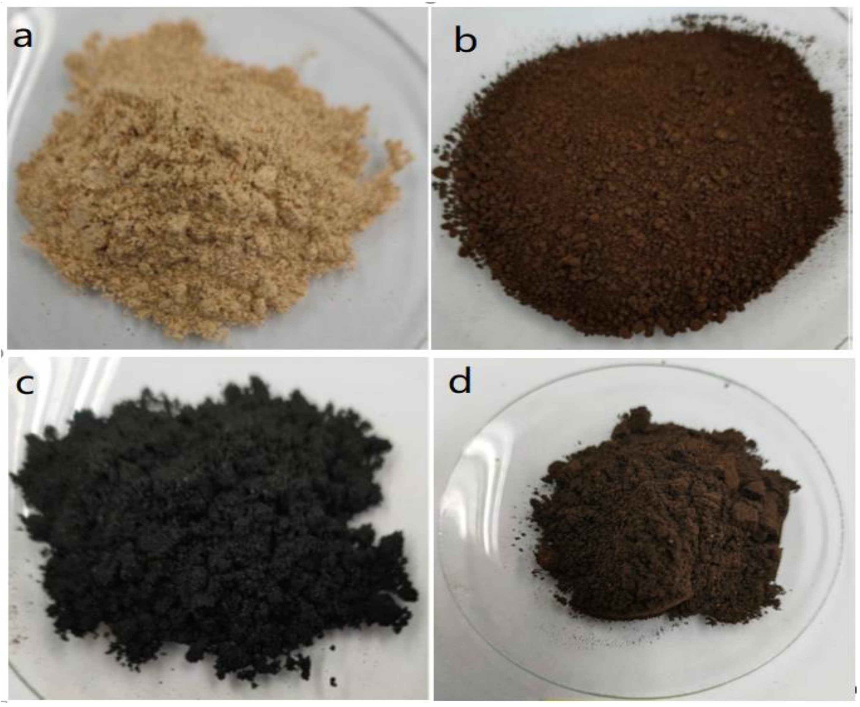 Polymers 14 00821 g004