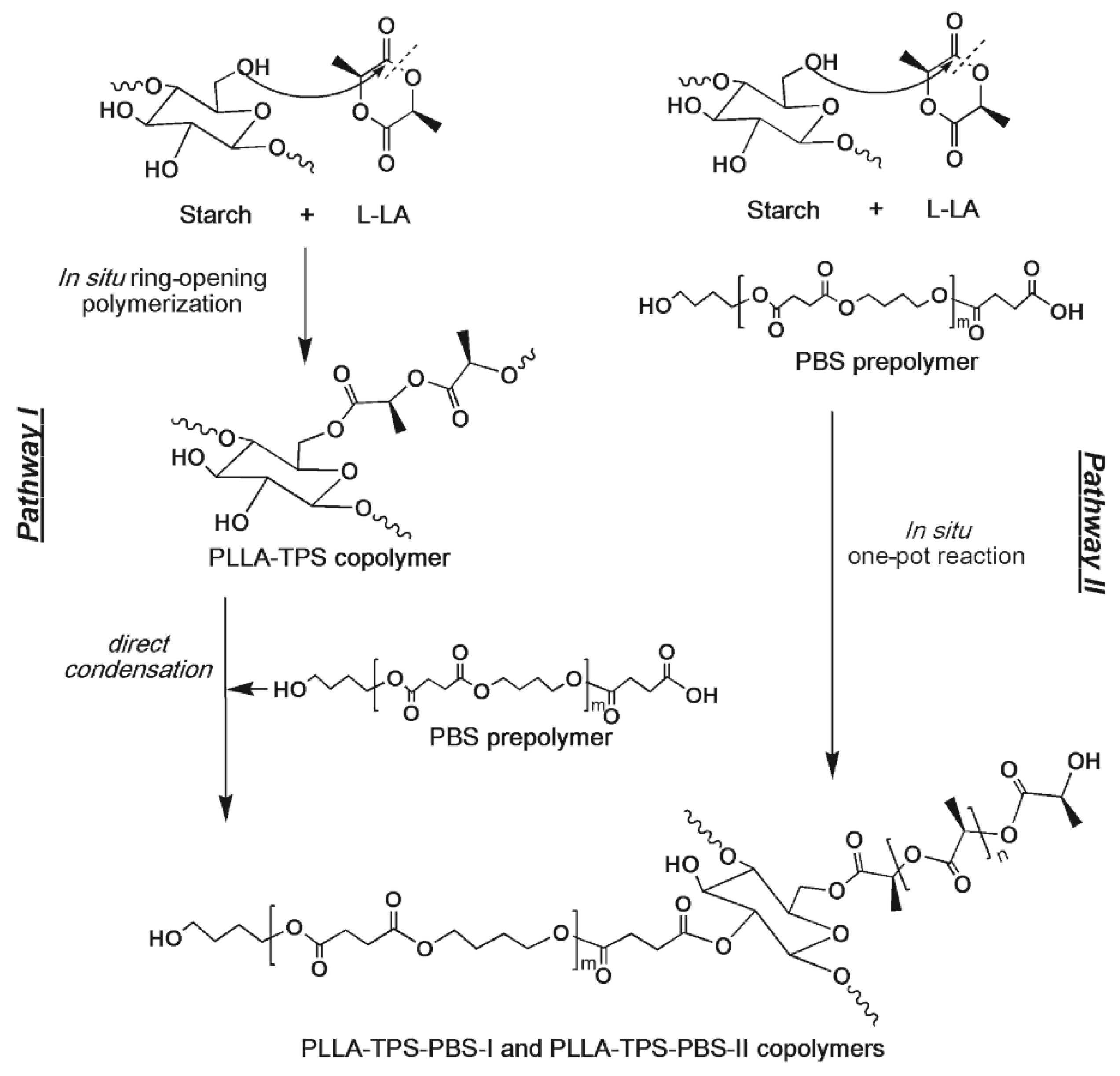 Polymers 14 00825 sch002 Polymers 14 00825 sch002