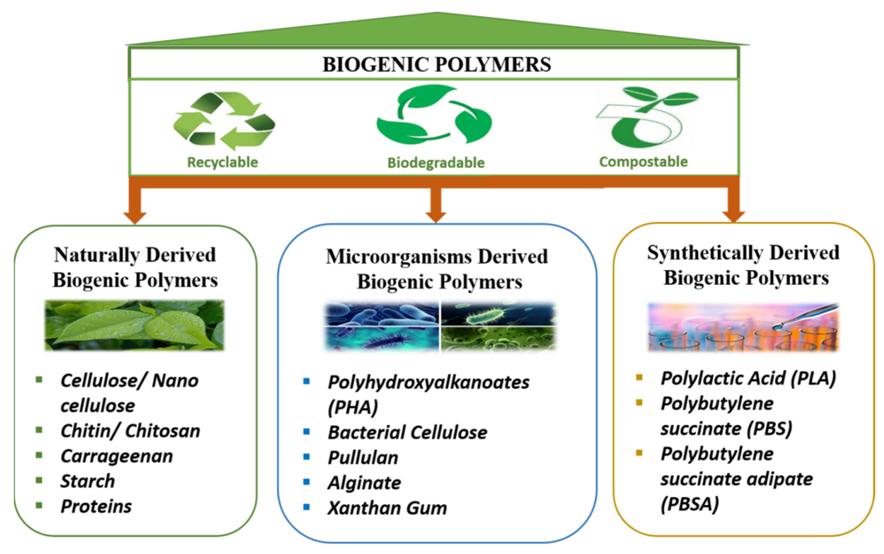 Polymers 14 00829 g001 550