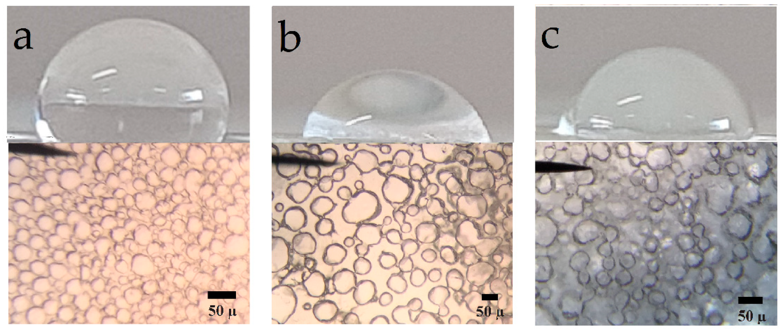 Polymers 14 00831 g006 Polymers 14 00831 g006