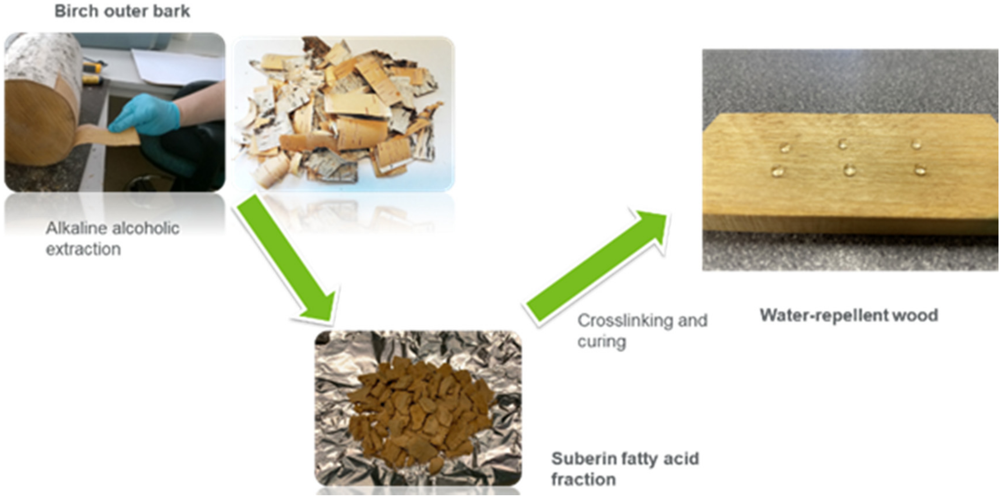 Polymers 14 00832 g001 550