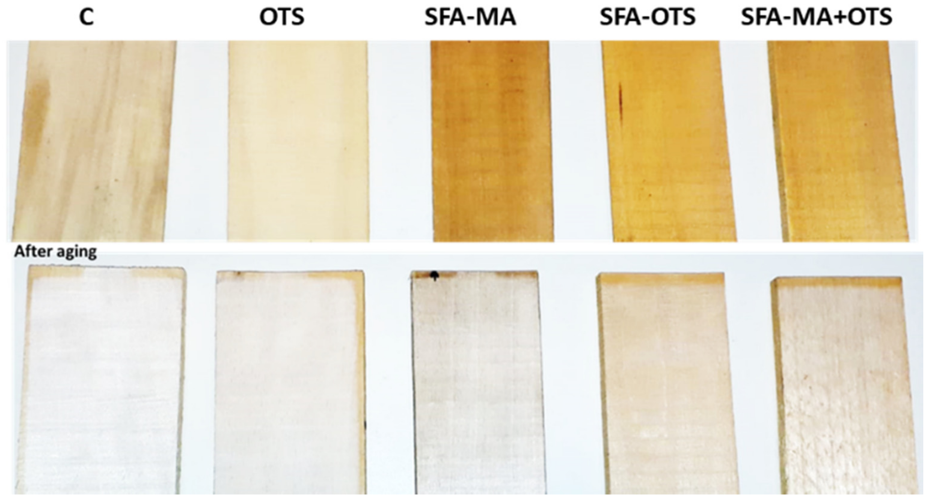 Polymers 14 00832 g010 550