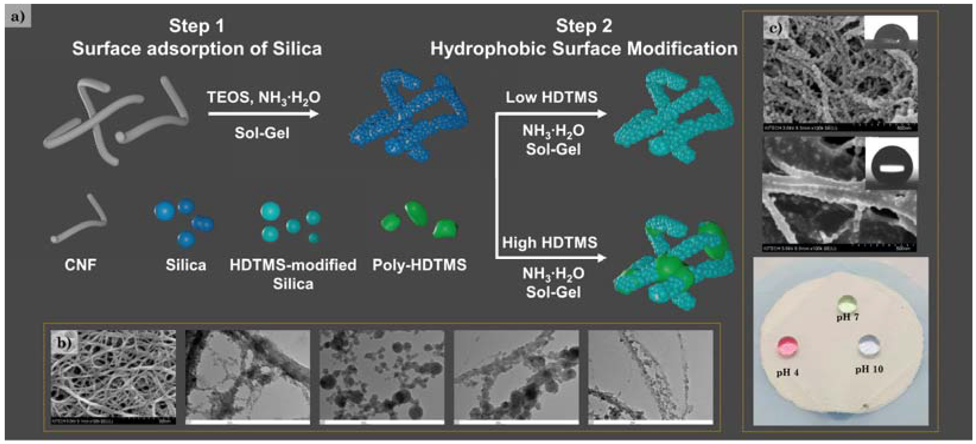 Polymers 14 00833 g001 550