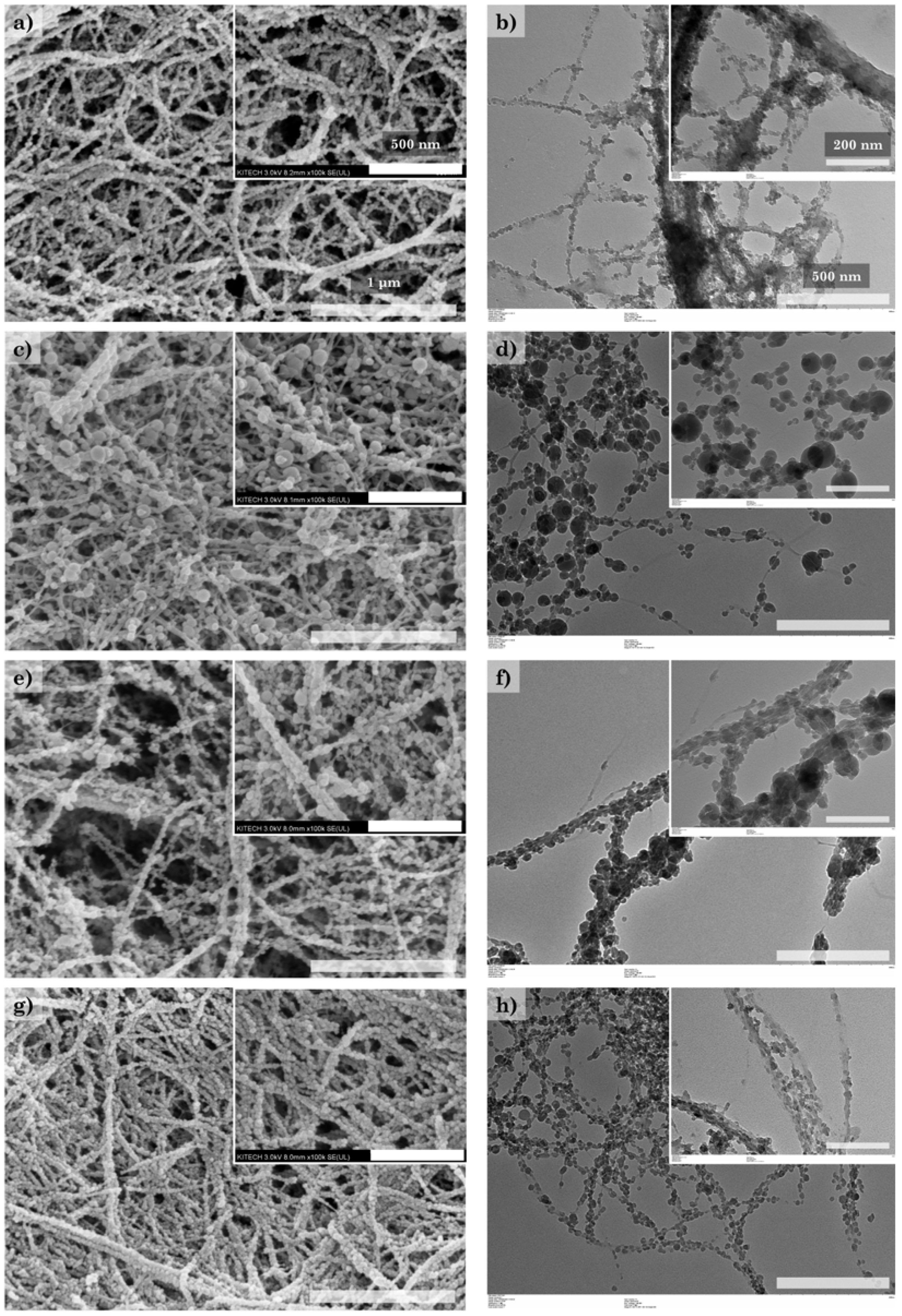 Polymers 14 00833 g002 550