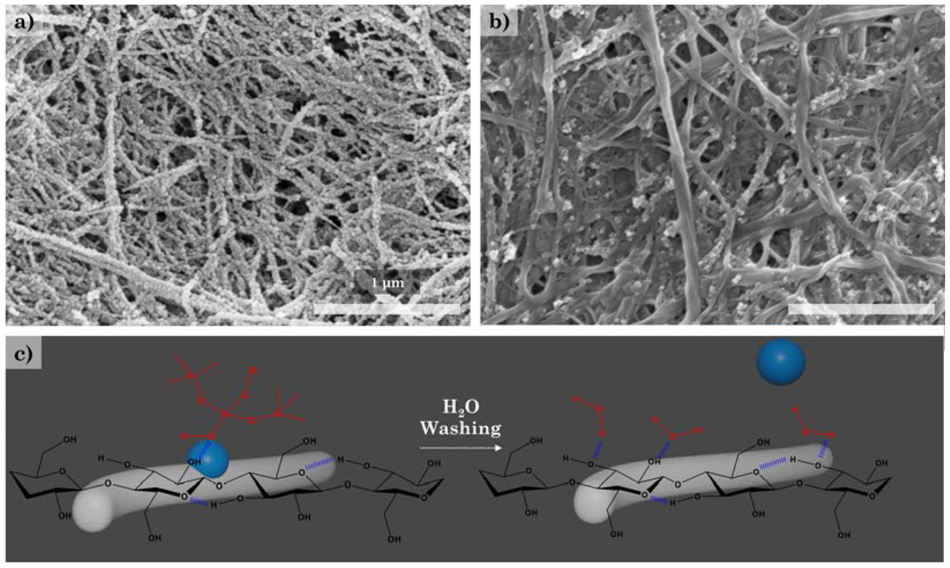 Polymers 14 00833 g003 550