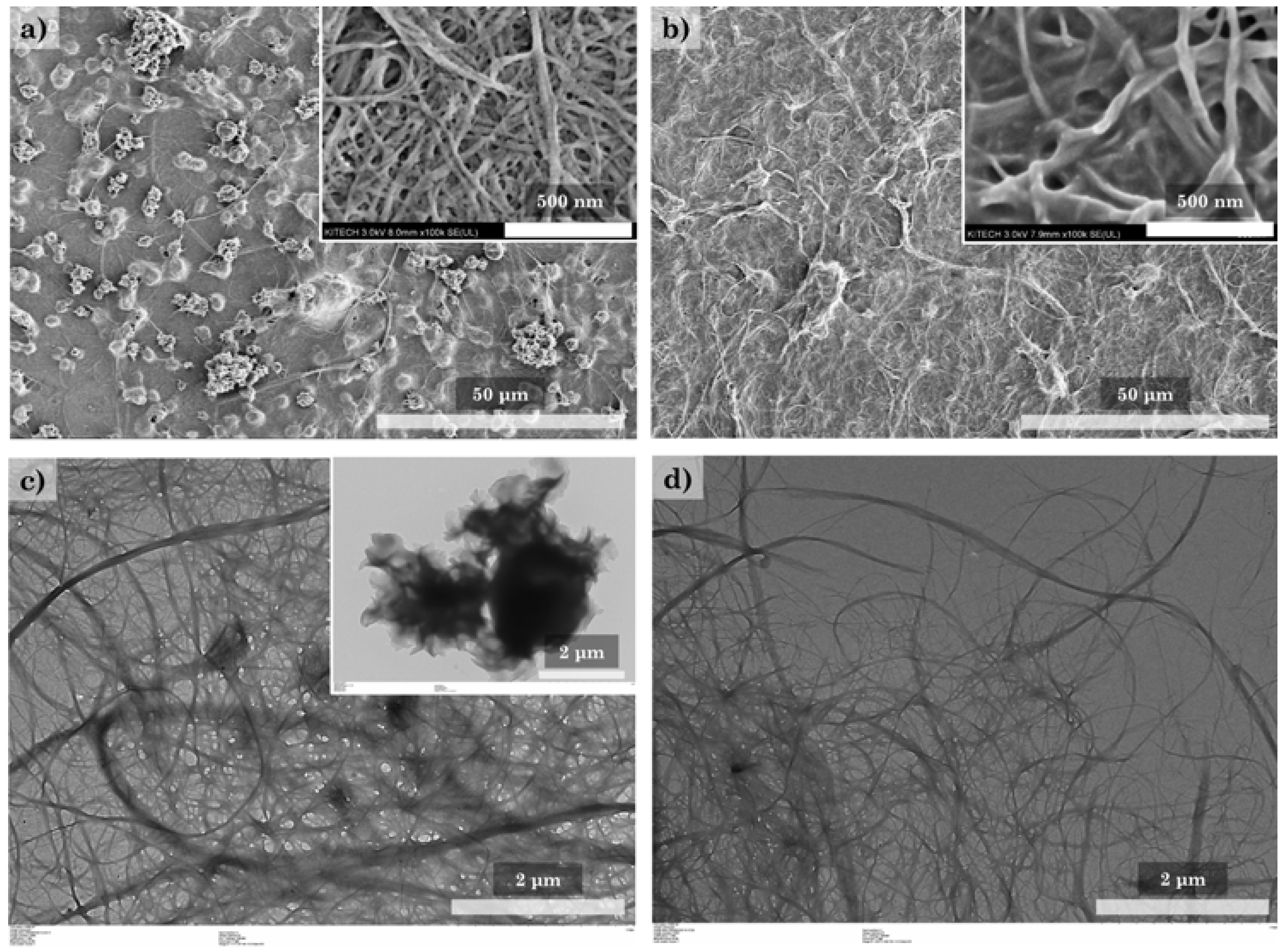 Polymers 14 00833 g007 550