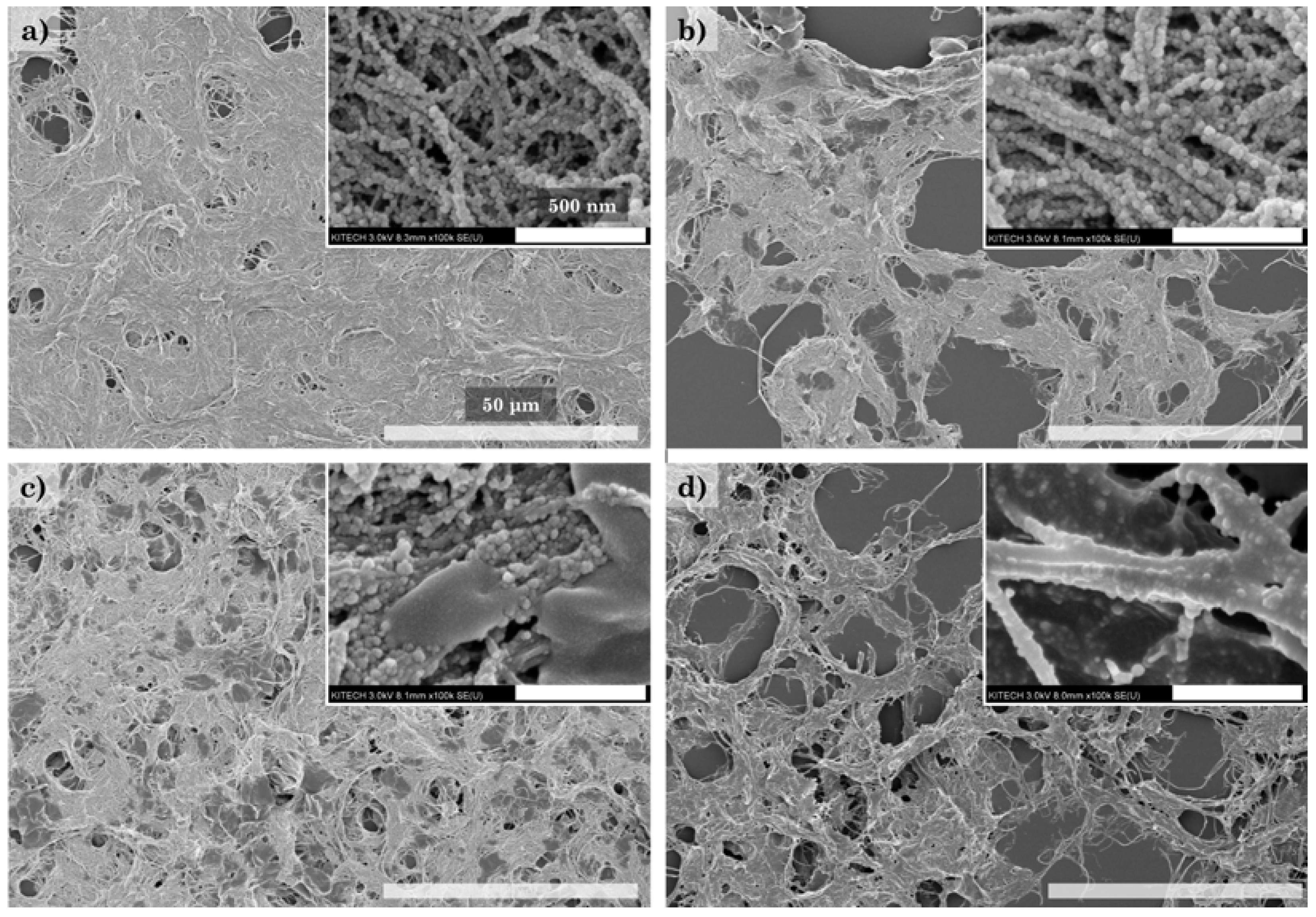 Polymers 14 00833 g008 550