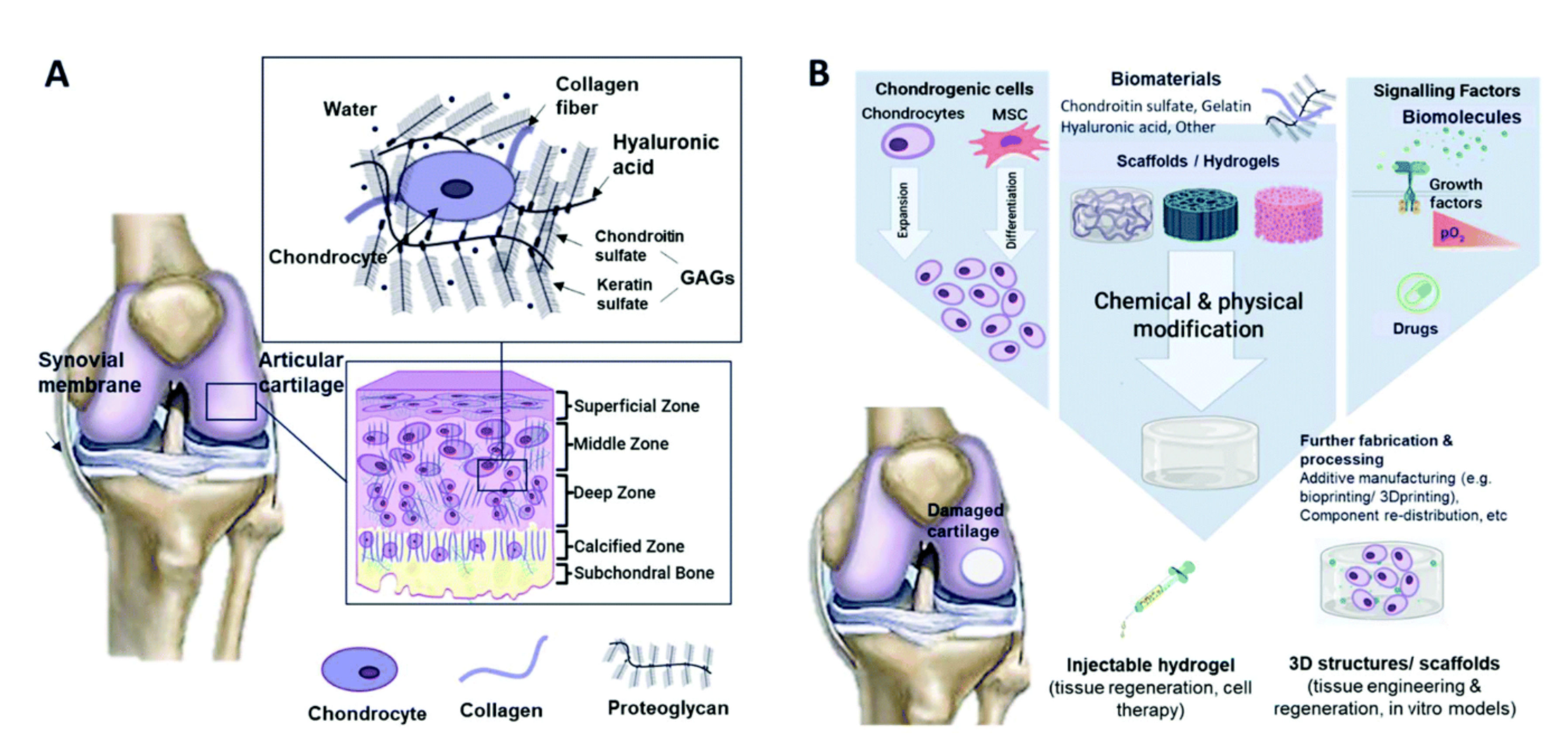 Polymers 14 00839 g001 Polymers 14 00839 g001