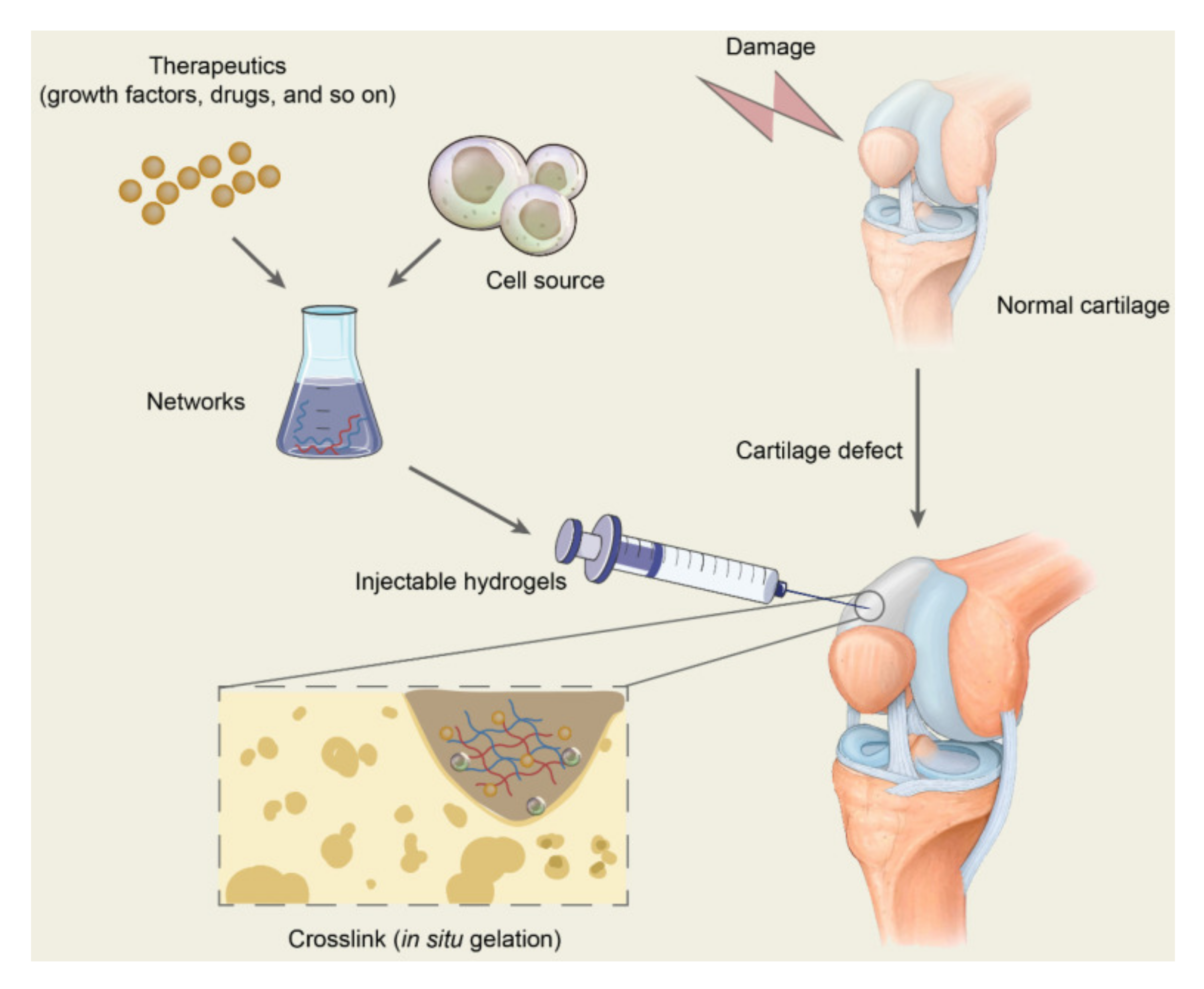 Polymers 14 00839 g002 Polymers 14 00839 g002