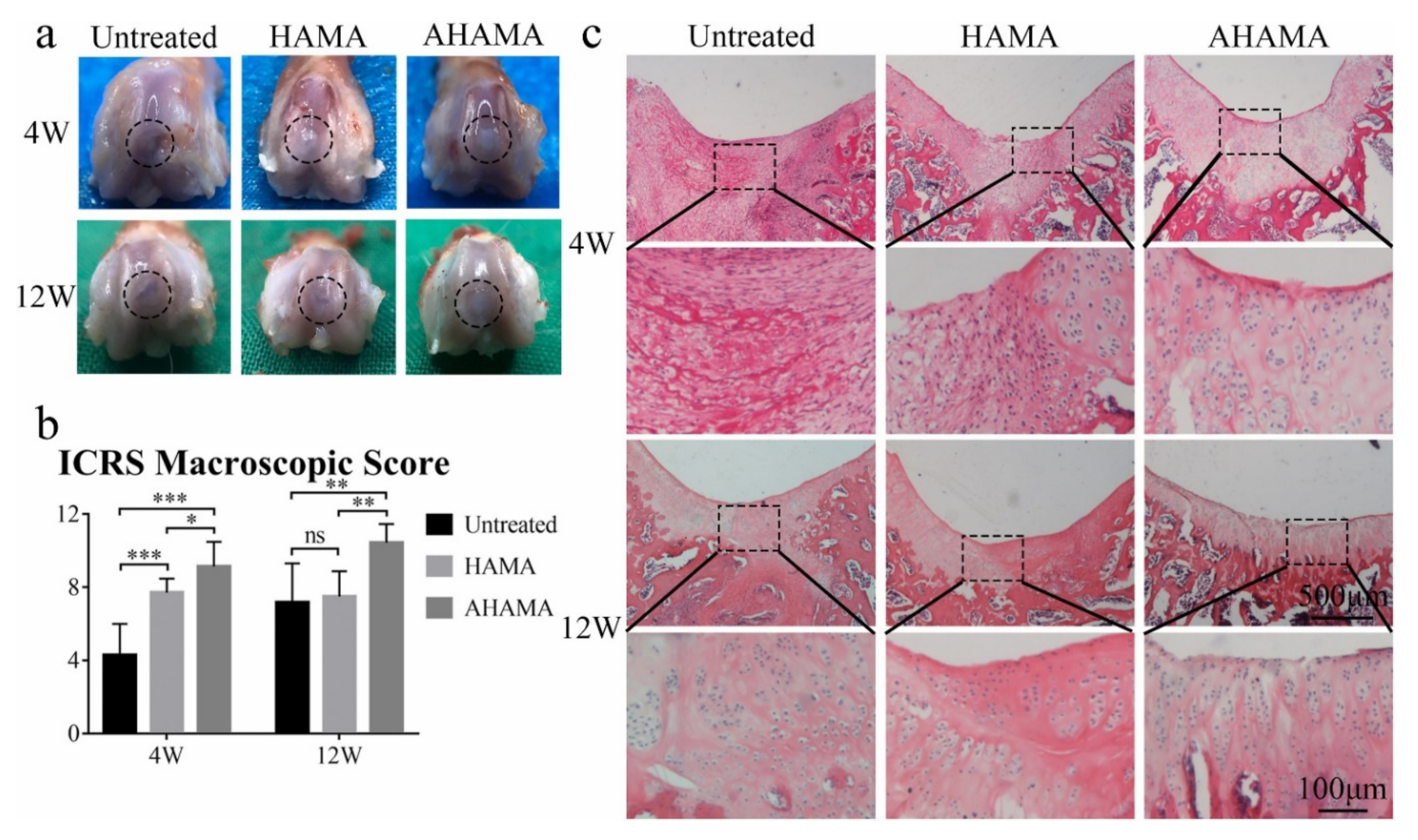 Polymers 14 00839 g005 Polymers 14 00839 g005