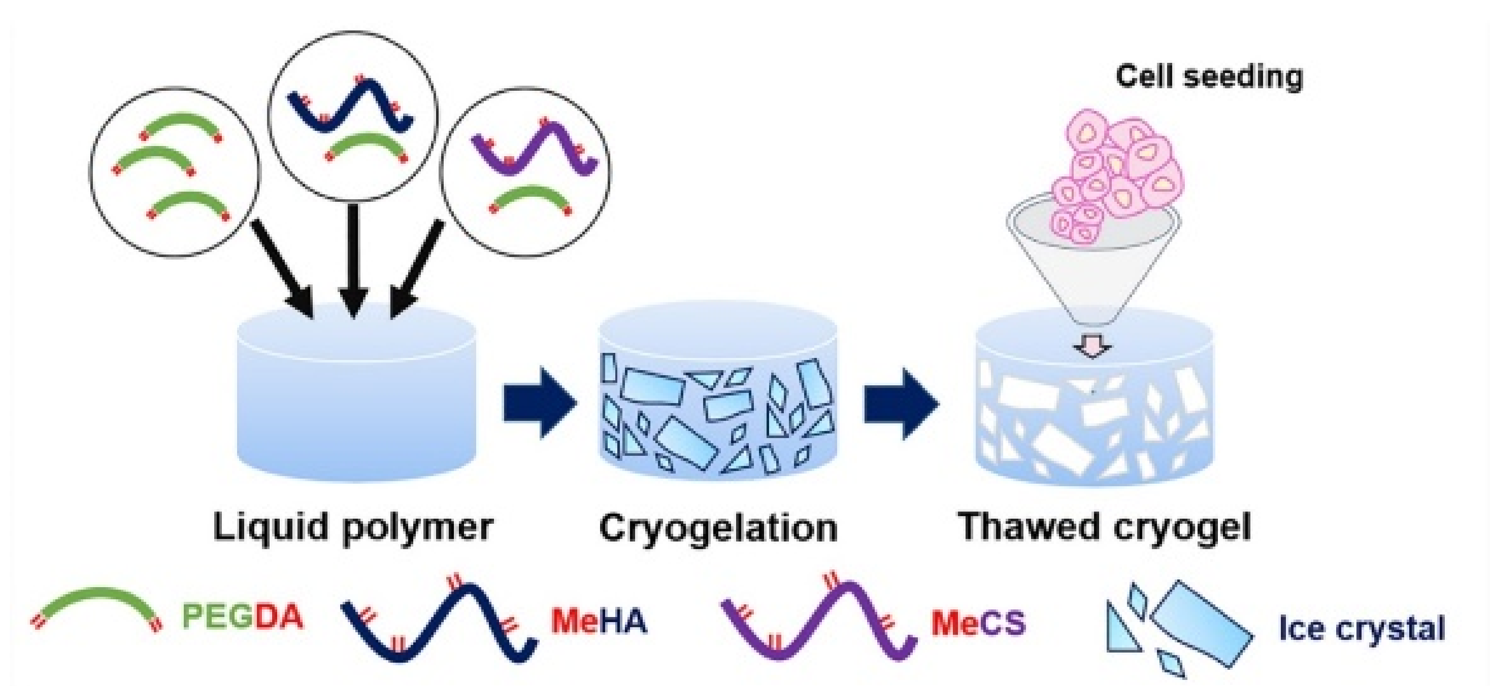 Polymers 14 00839 g007 Polymers 14 00839 g007