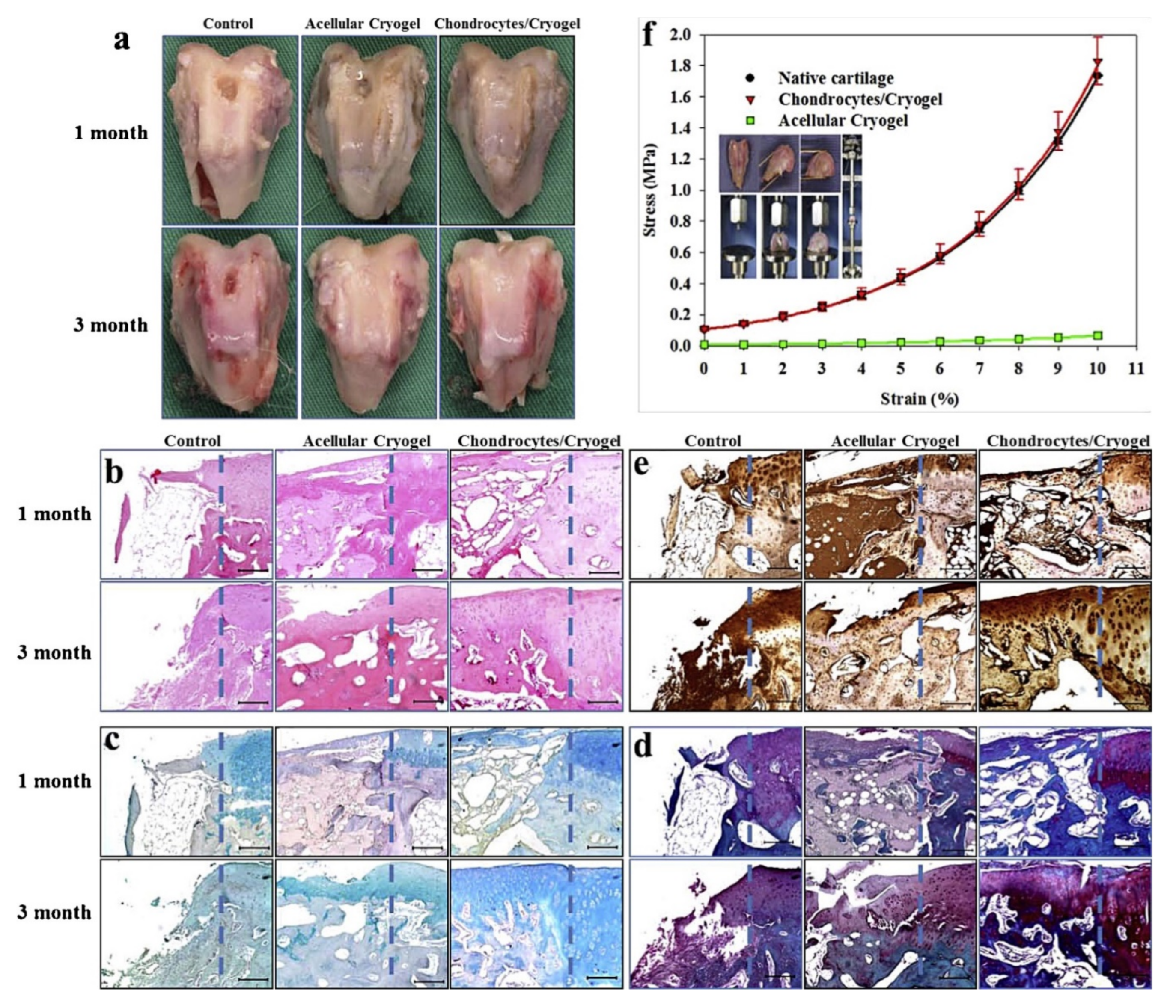 Polymers 14 00839 g008 Polymers 14 00839 g008