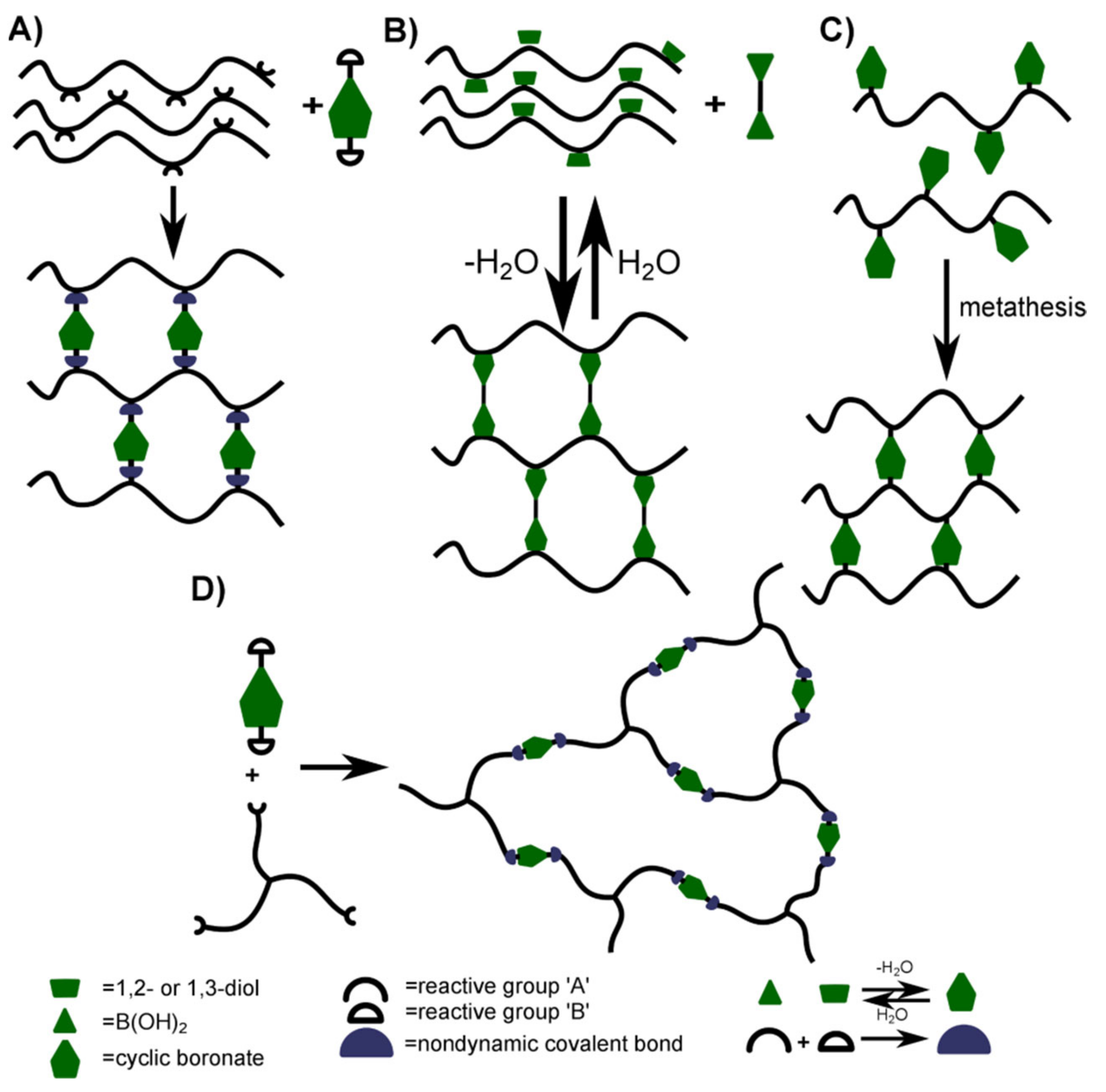 Polymers 14 00842 g002 550