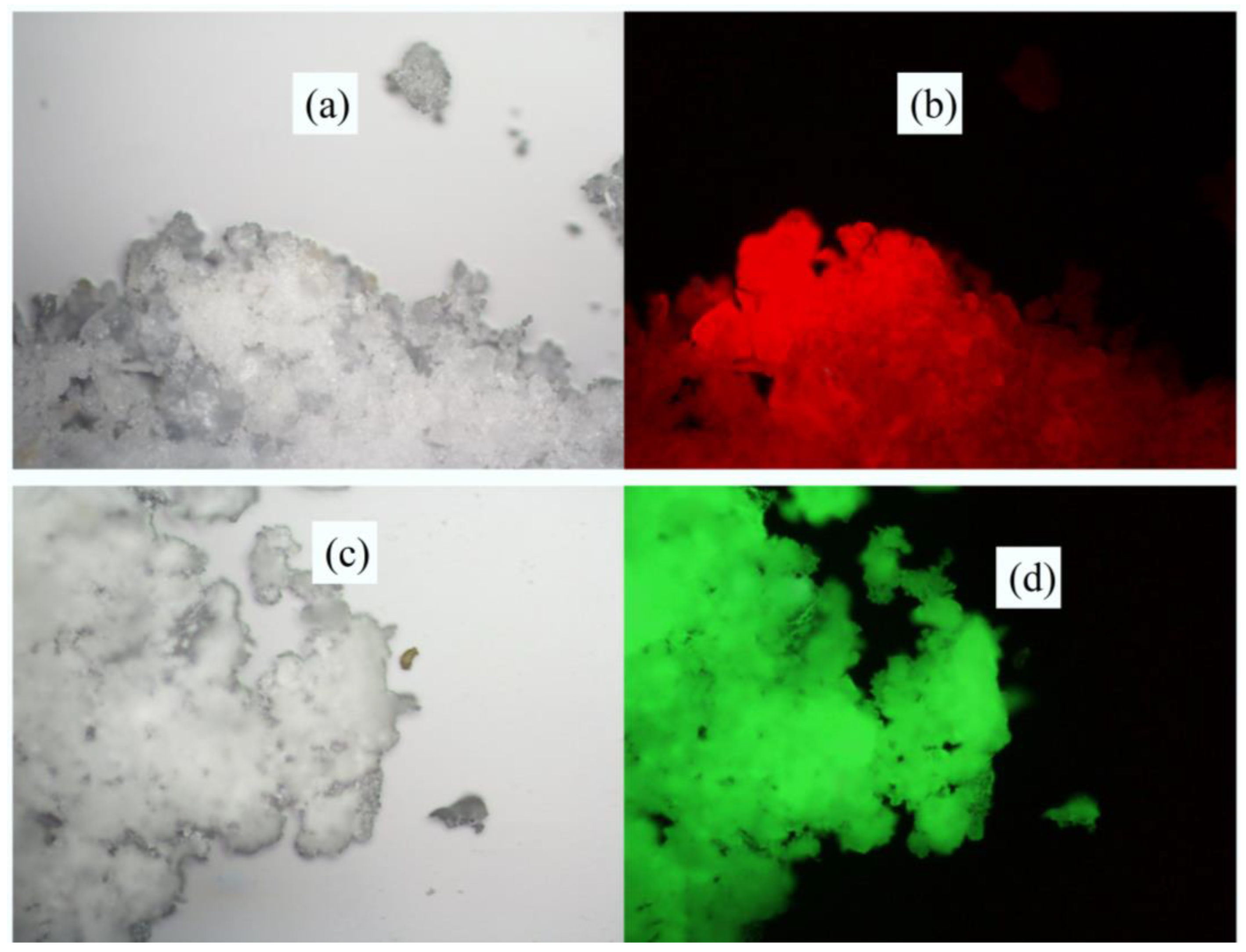 Polymers 14 00851 g003