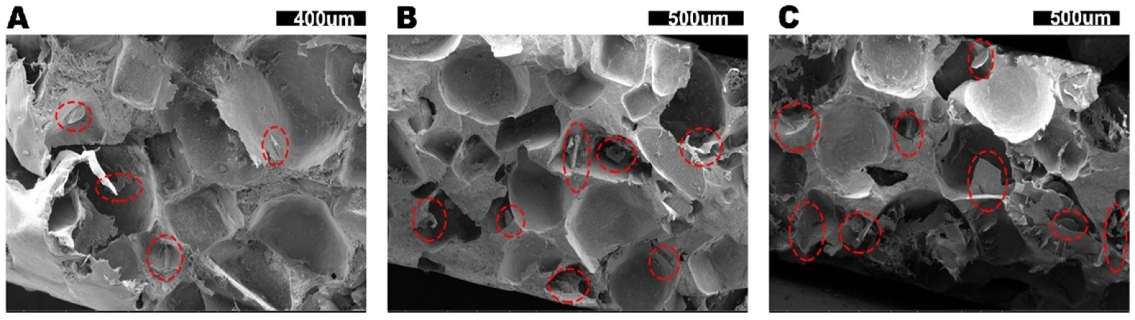 Polymers 14 00852 g002