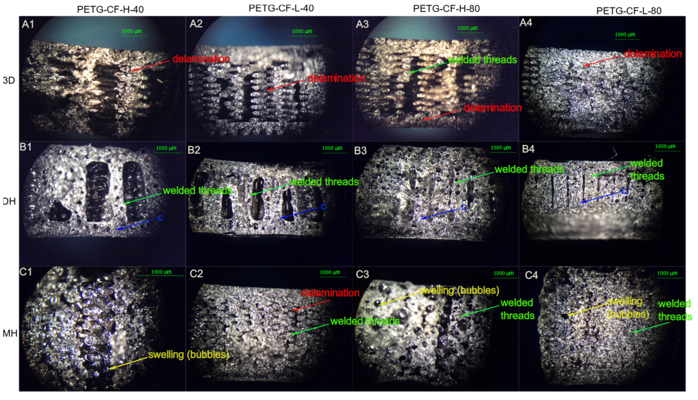 Polymers 14 00855 g010 550