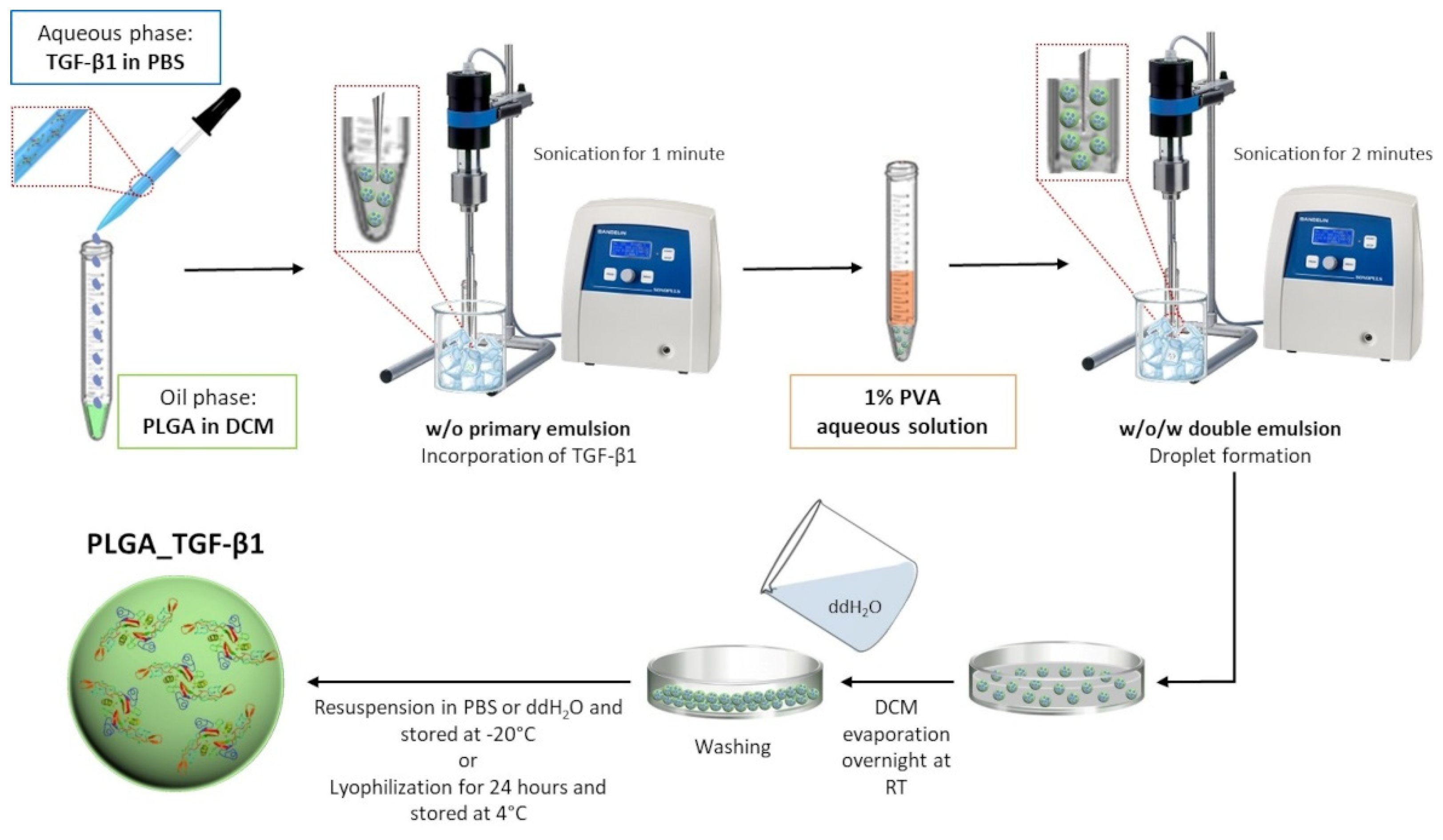 Polymers 14 00857 g001