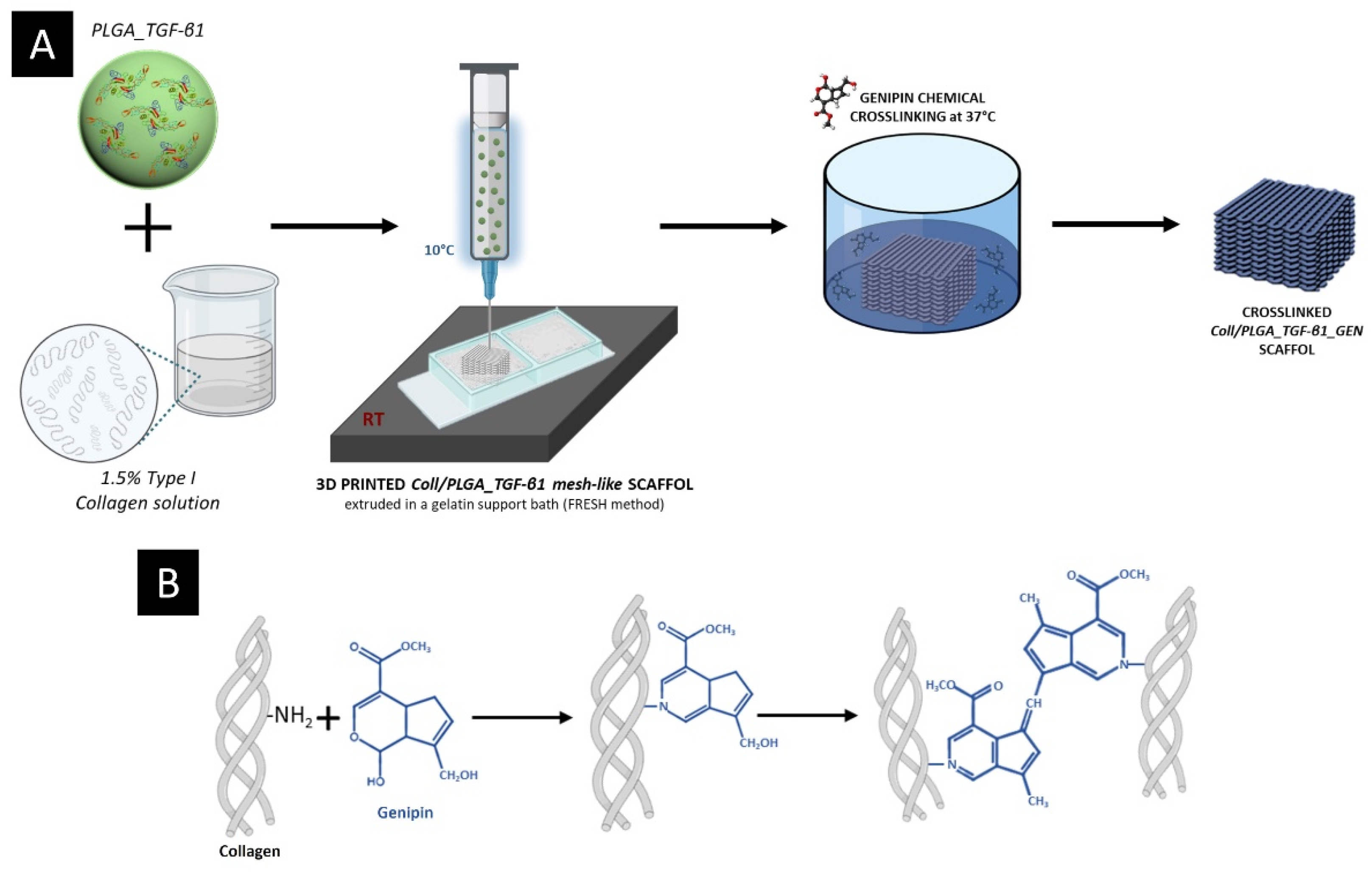 Polymers 14 00857 g002