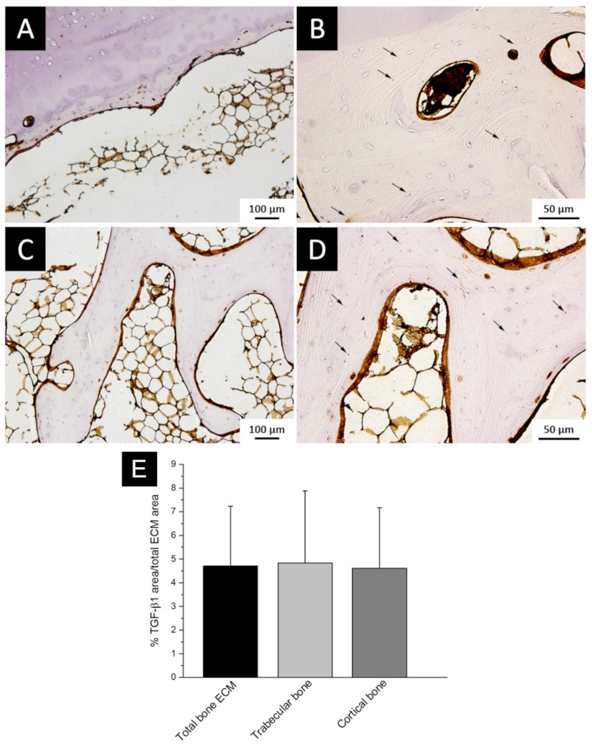 Polymers 14 00857 g003