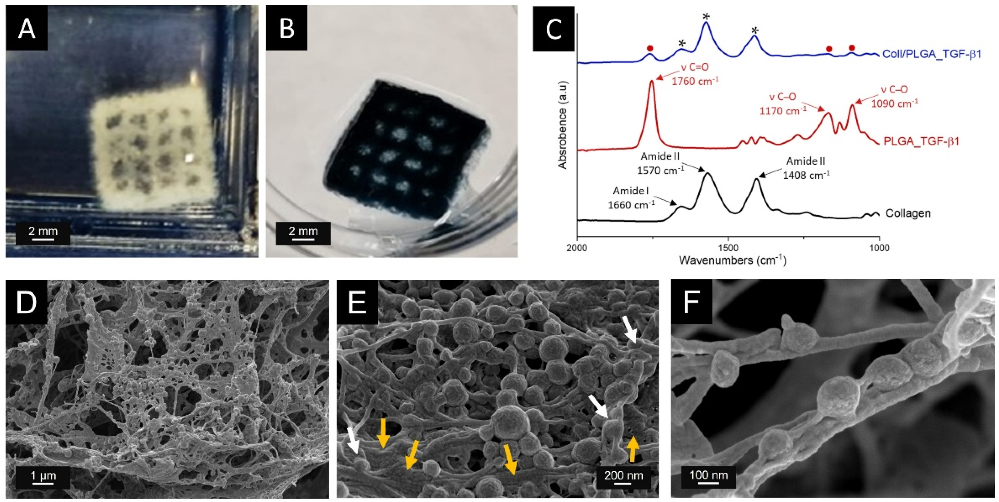 Polymers 14 00857 g006