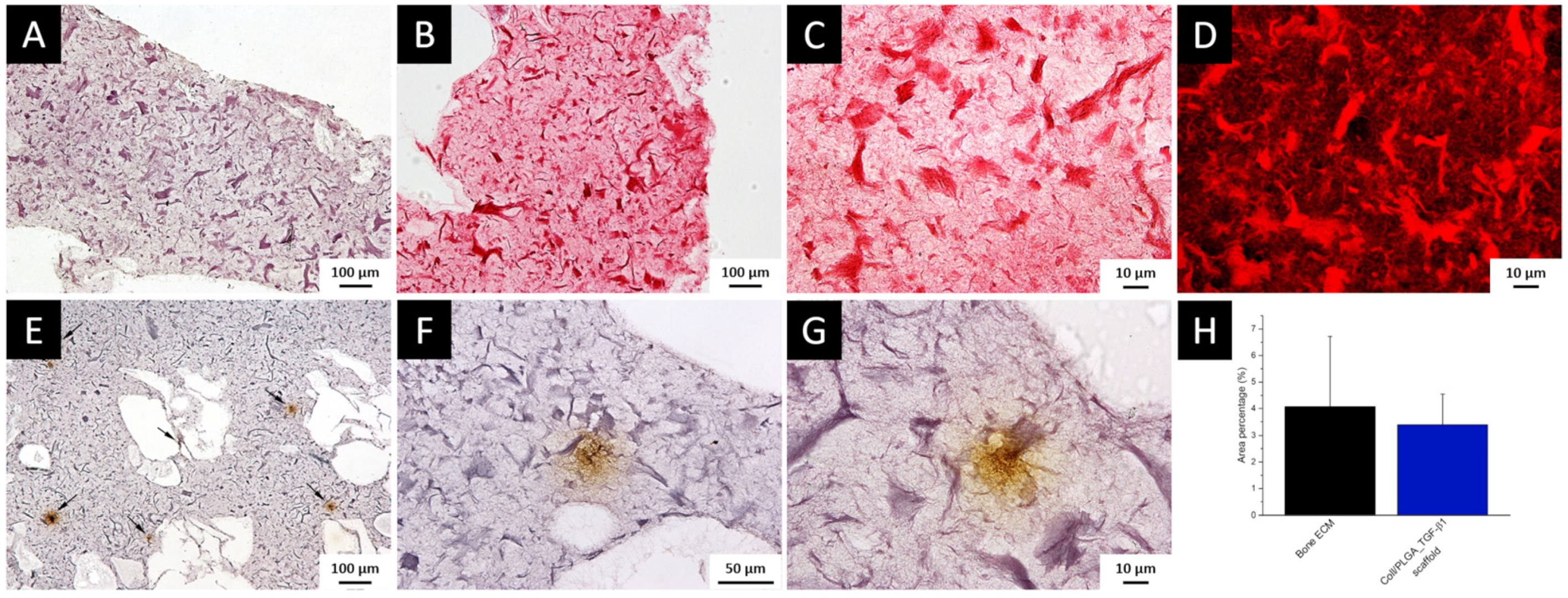 Polymers 14 00857 g007