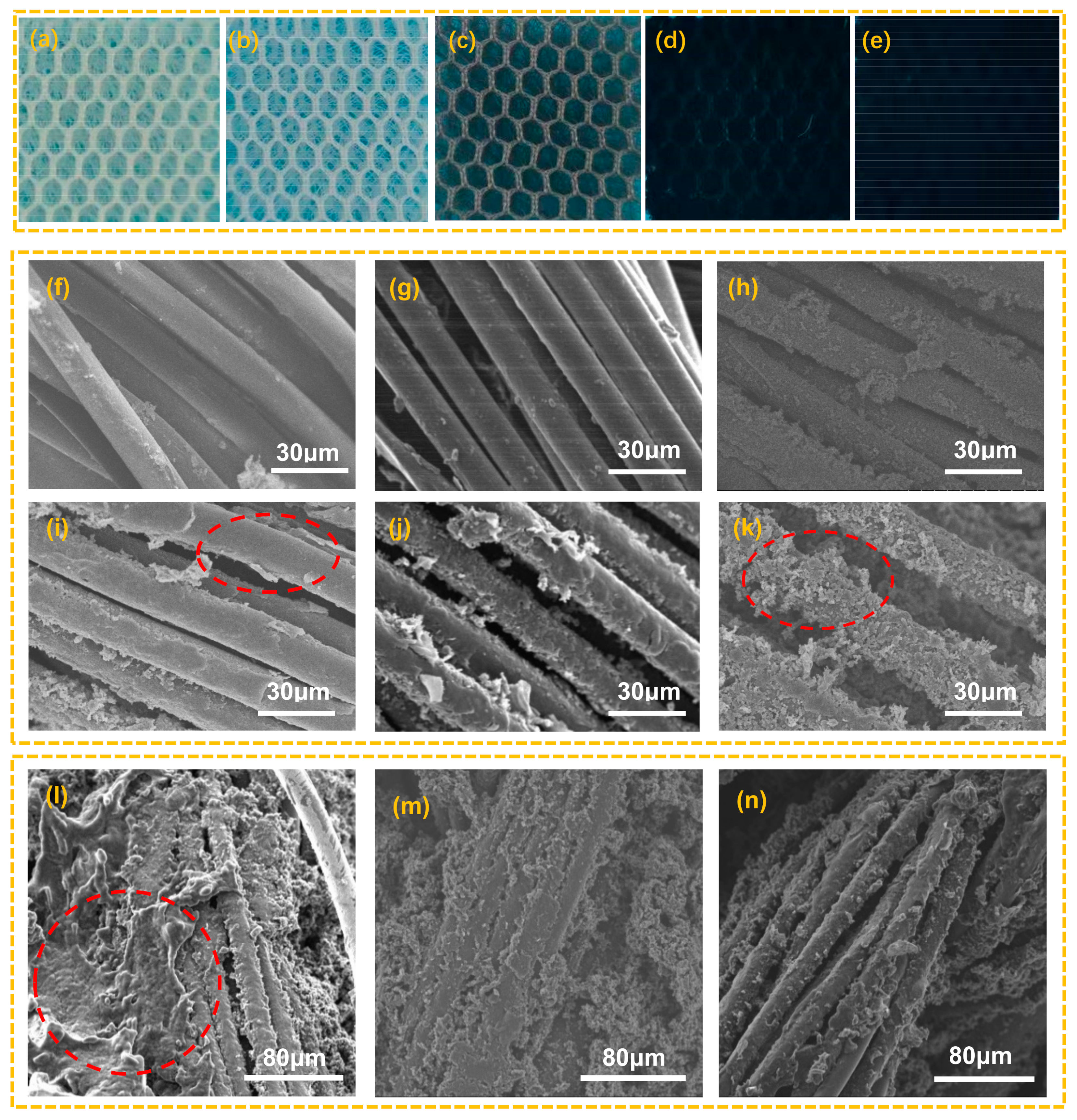 Polymers 14 00859 g003