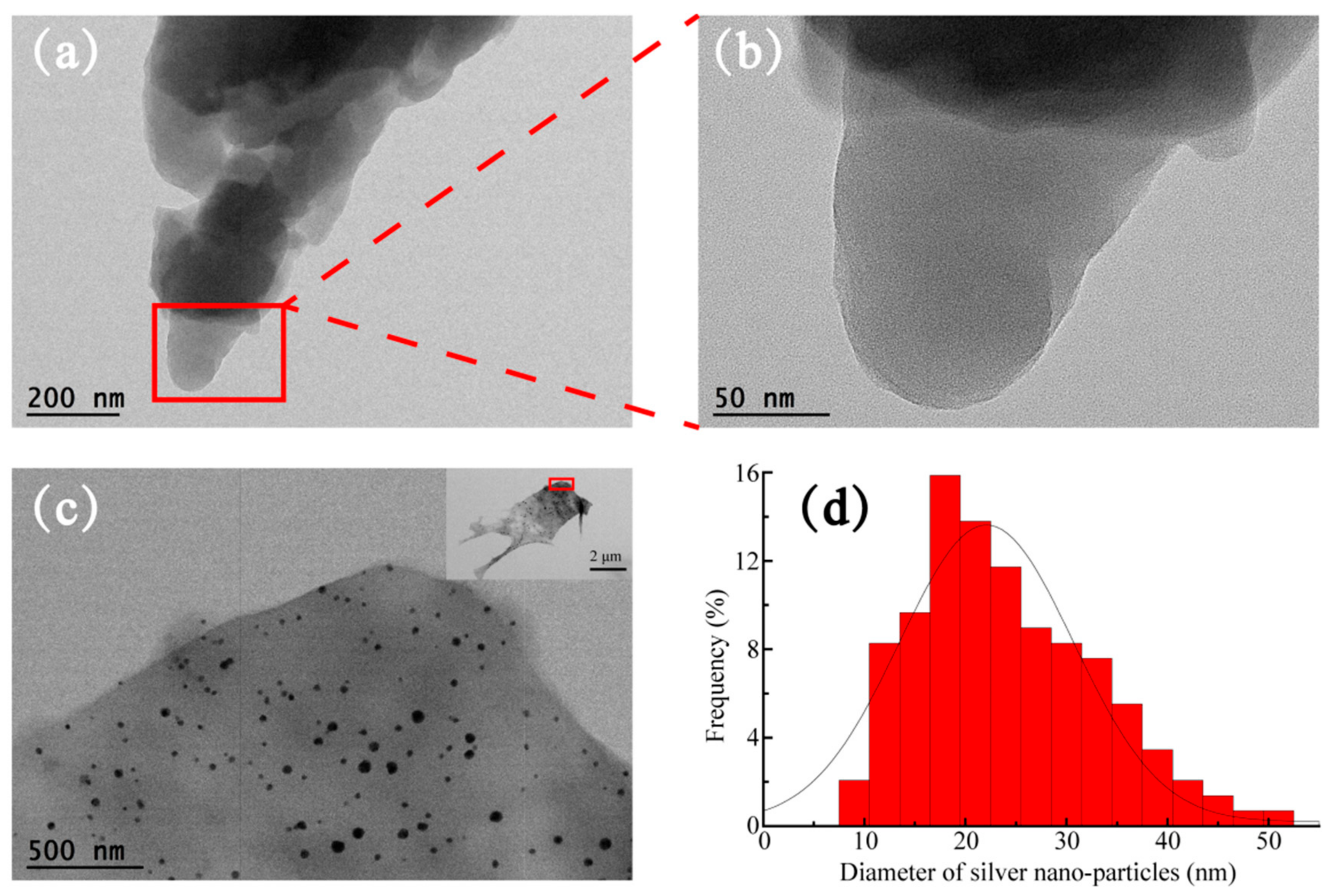 Polymers 14 00860 g005