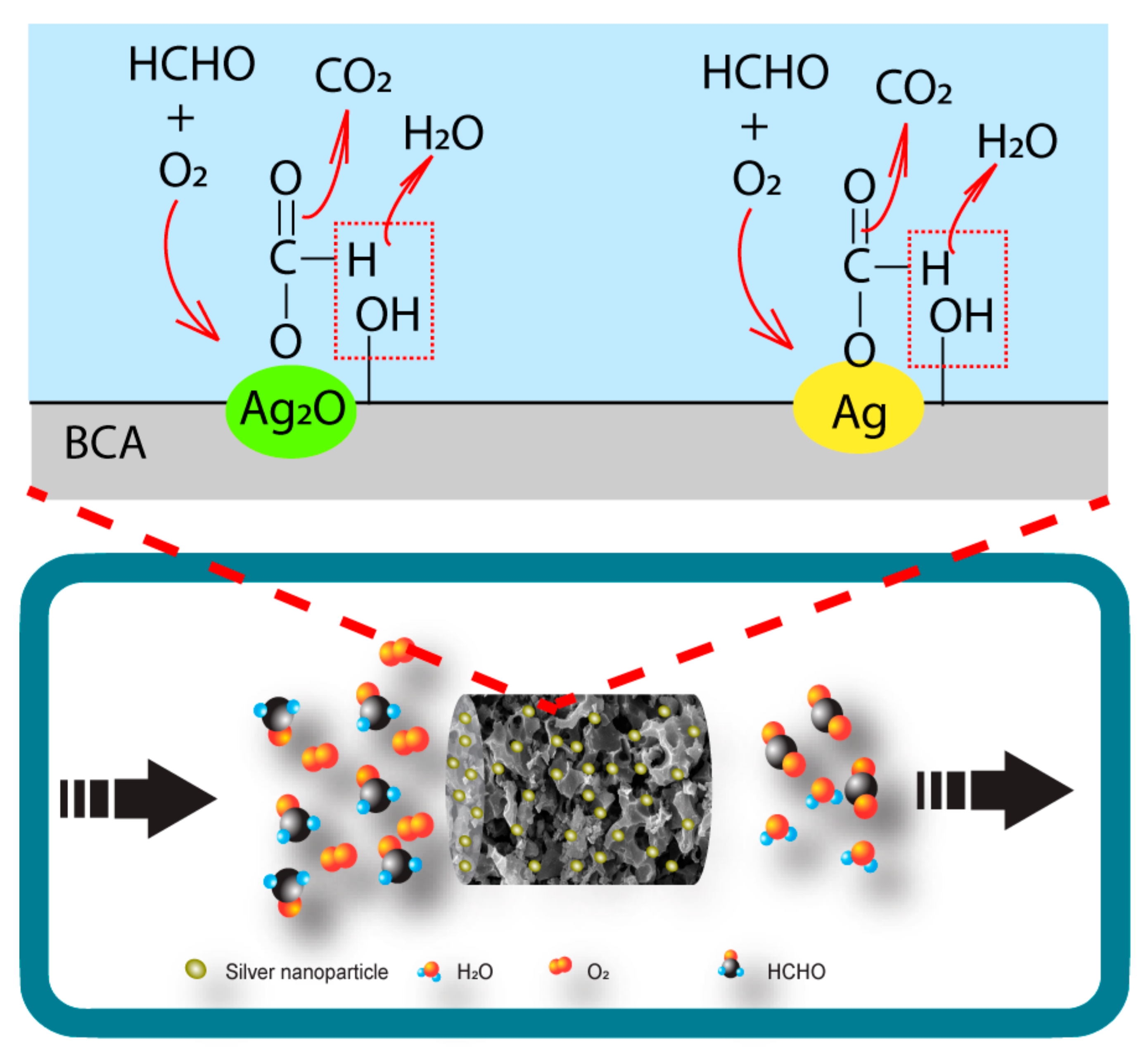 Polymers 14 00860 g010