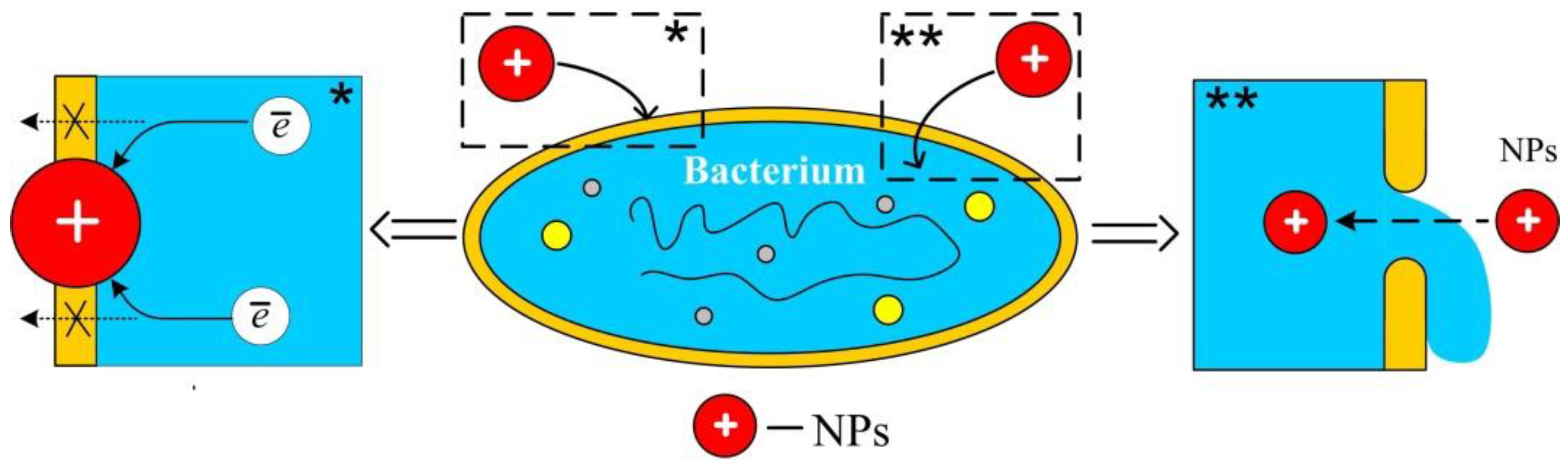 Polymers 14 00864 g001 550