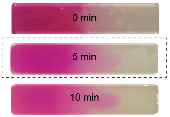 Gradient Hydrogels—Overview of Techniques Demonstrating the Existence ...