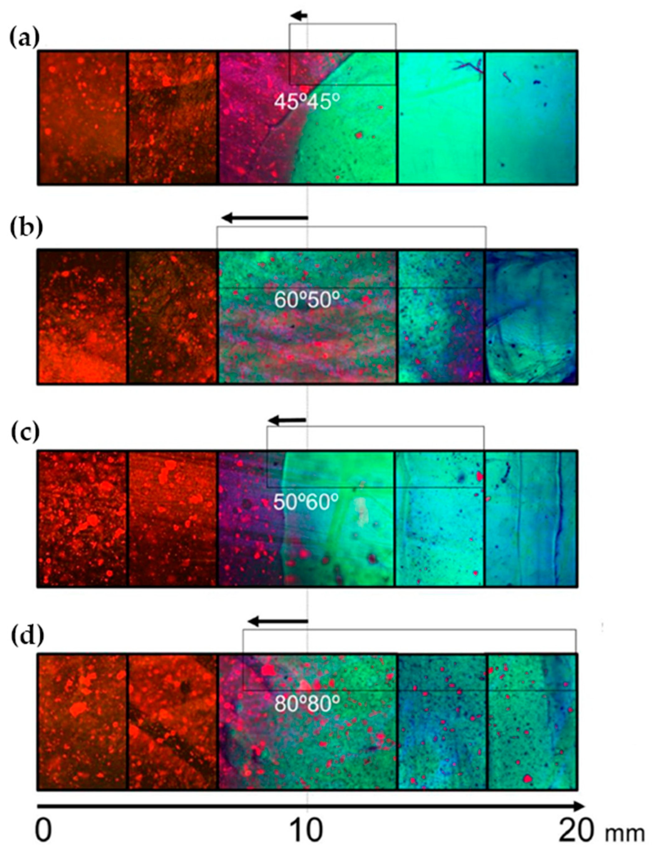 Polymers 14 00866 g003 550