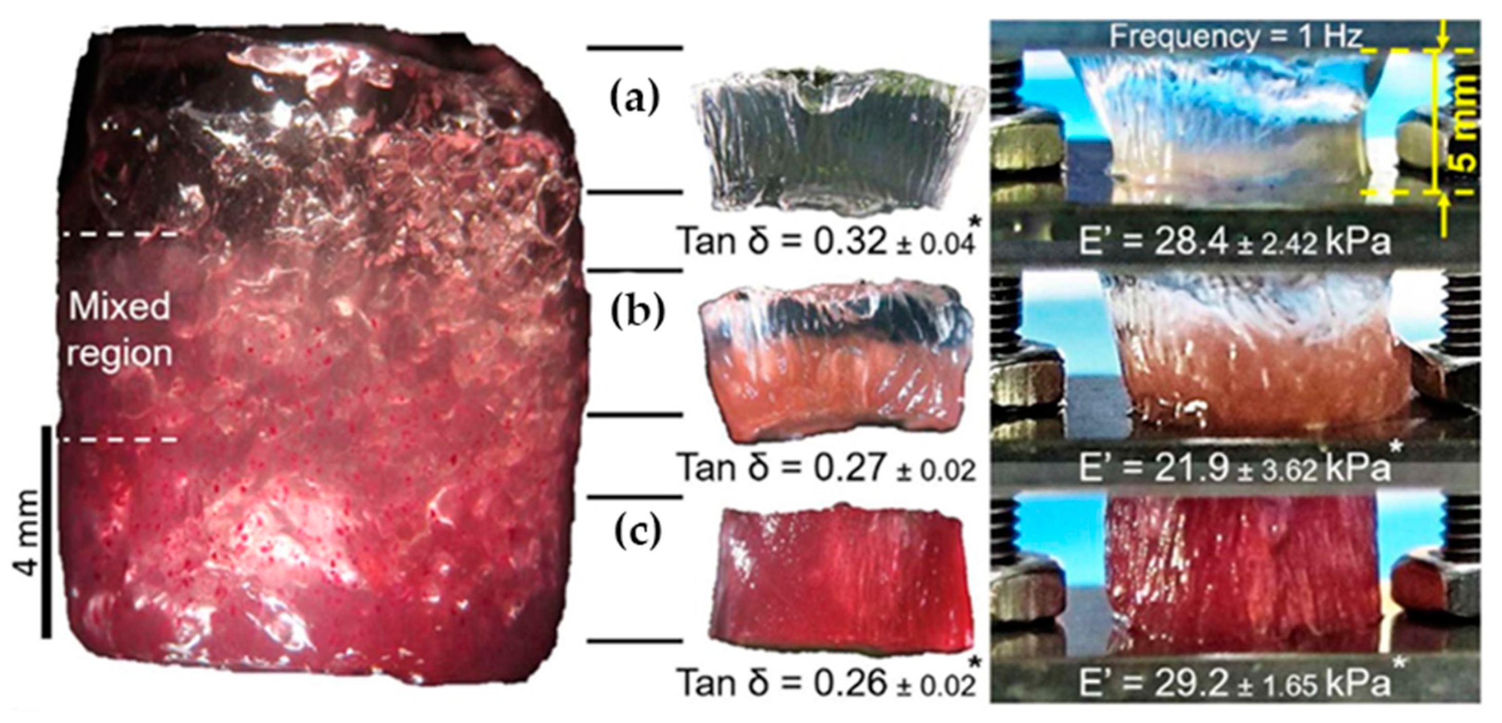 Polymers 14 00866 g008 550
