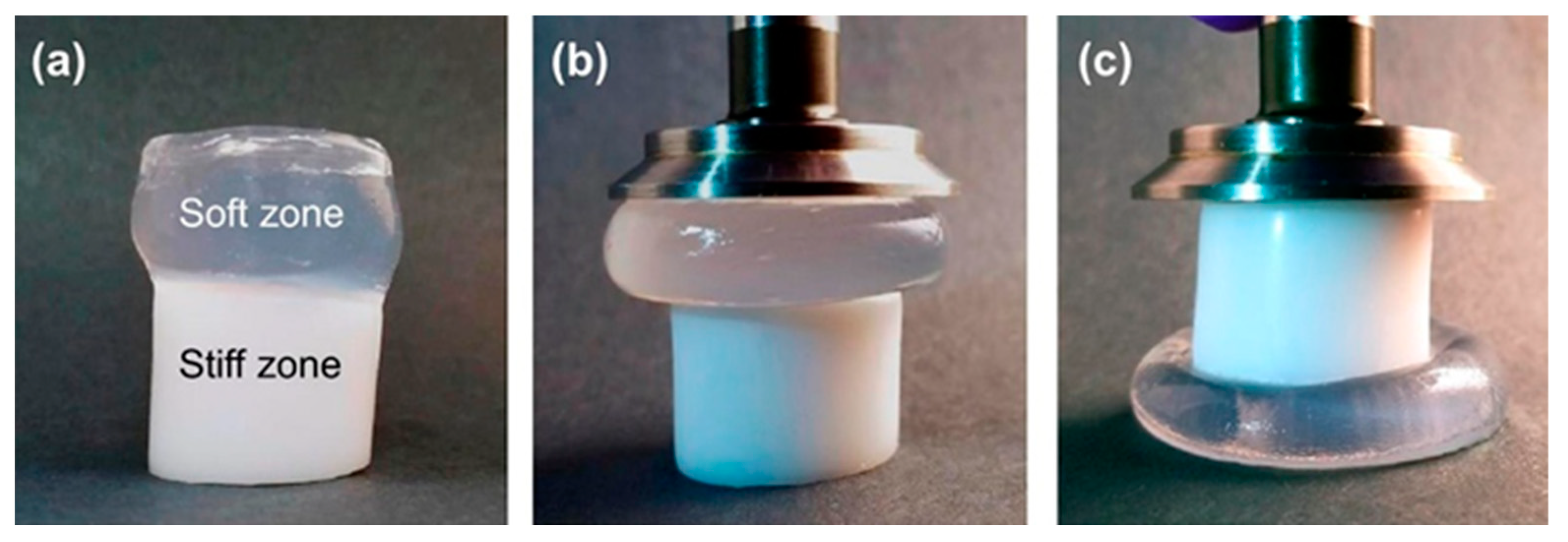 Polymers 14 00866 g010 550