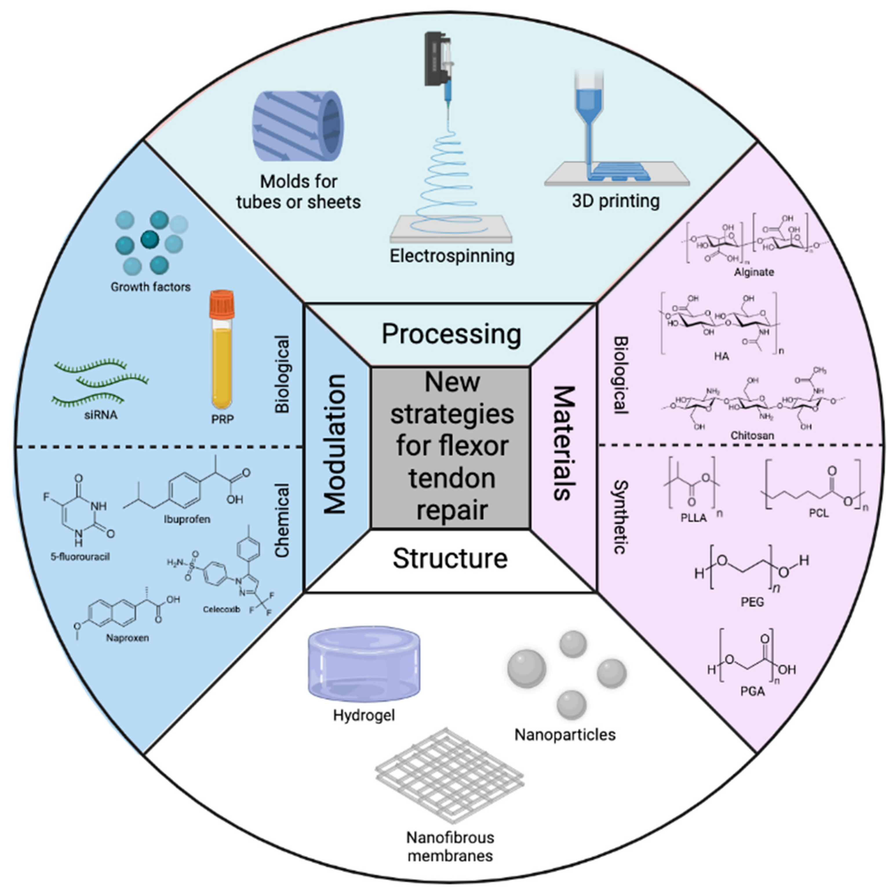 Polymers 14 00867 g004