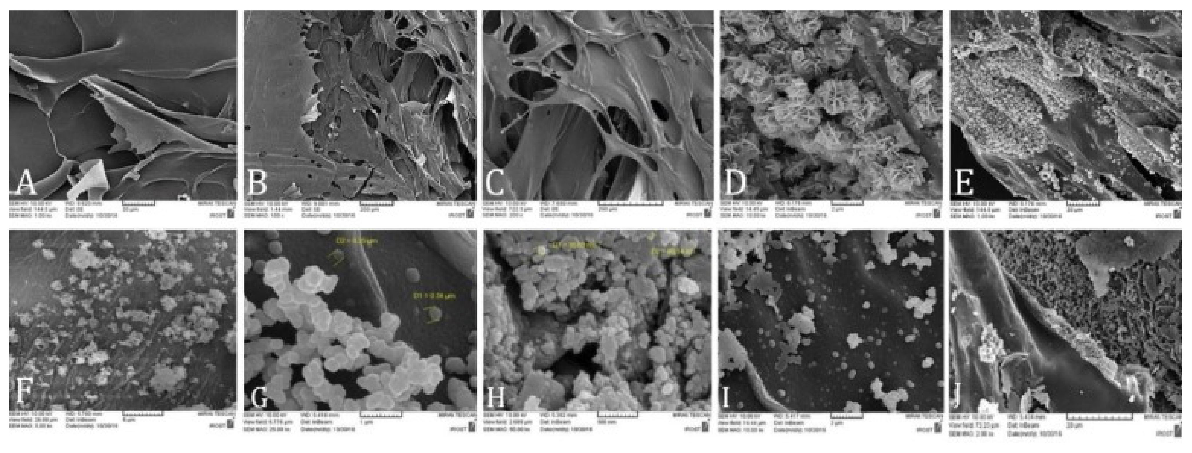 Polymers 14 00867 g005