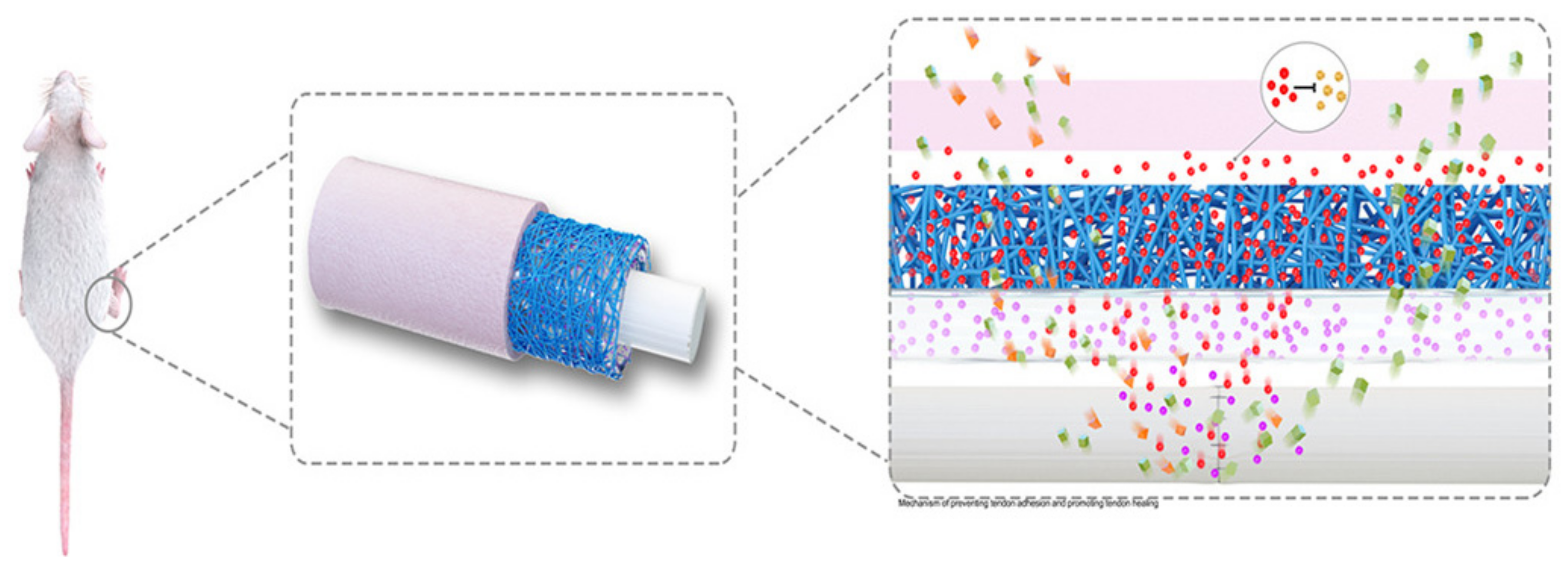Polymers 14 00867 g007