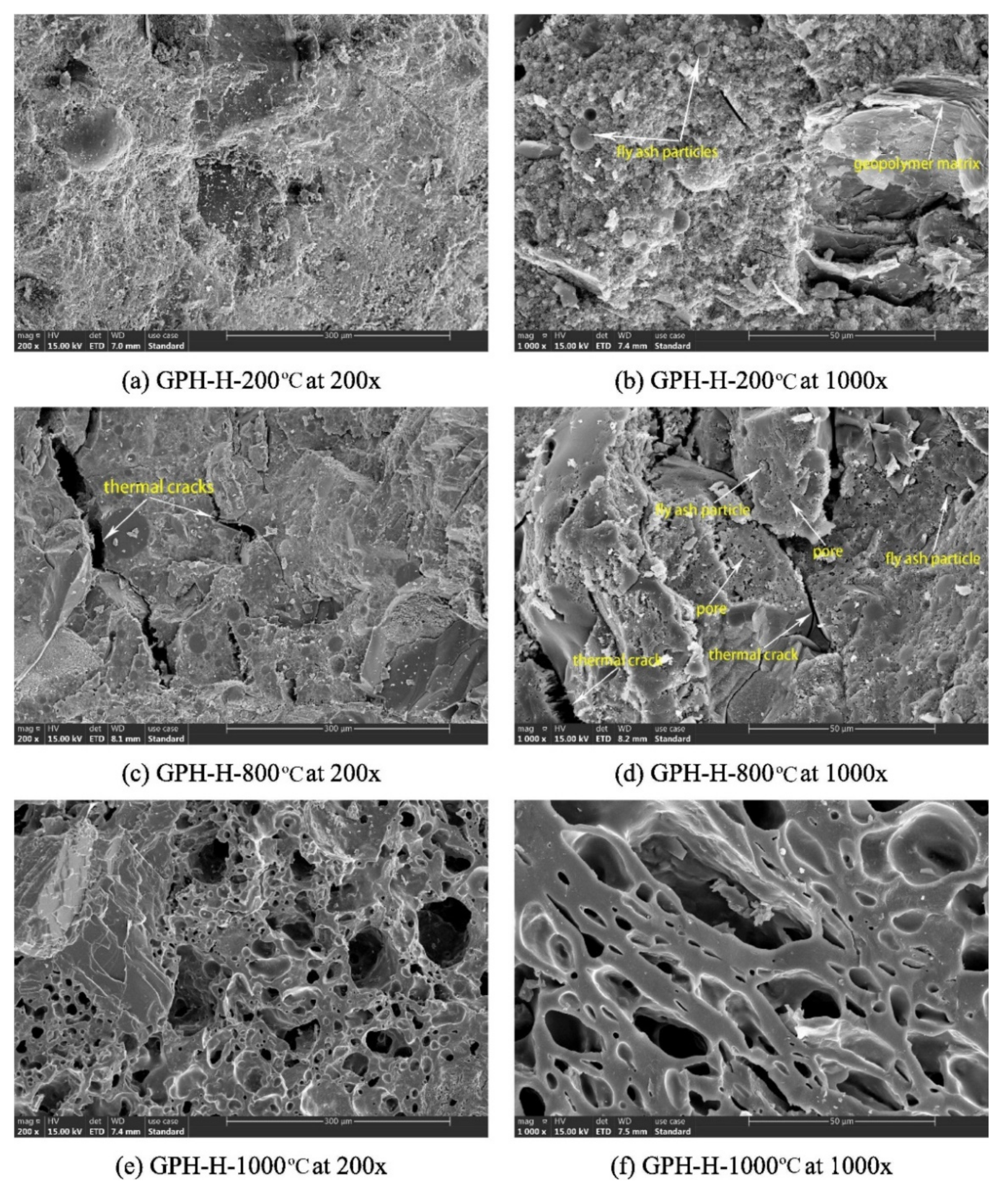 Polymers 14 00868 g017