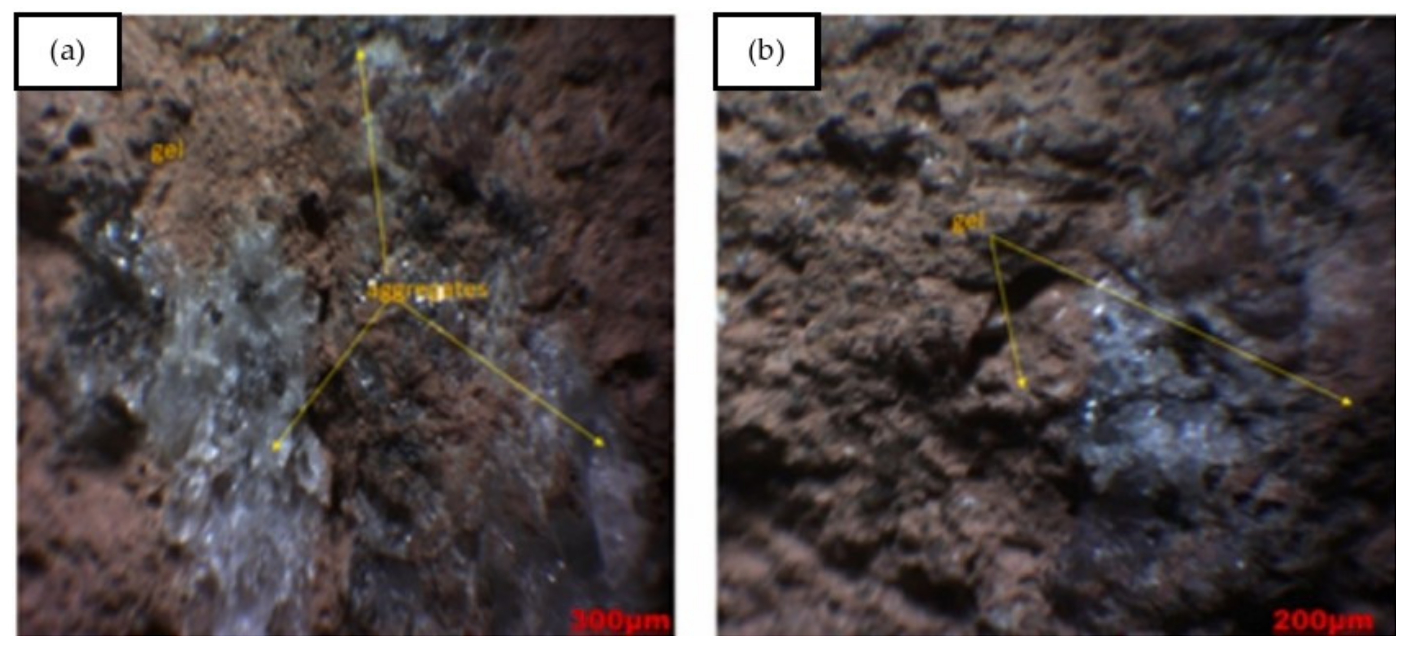 Polymers 14 00868 g020
